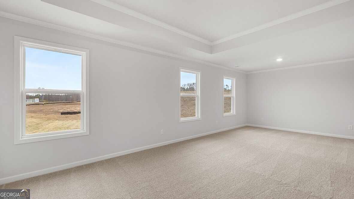 7172 Bocholt Drive Property Photo 21