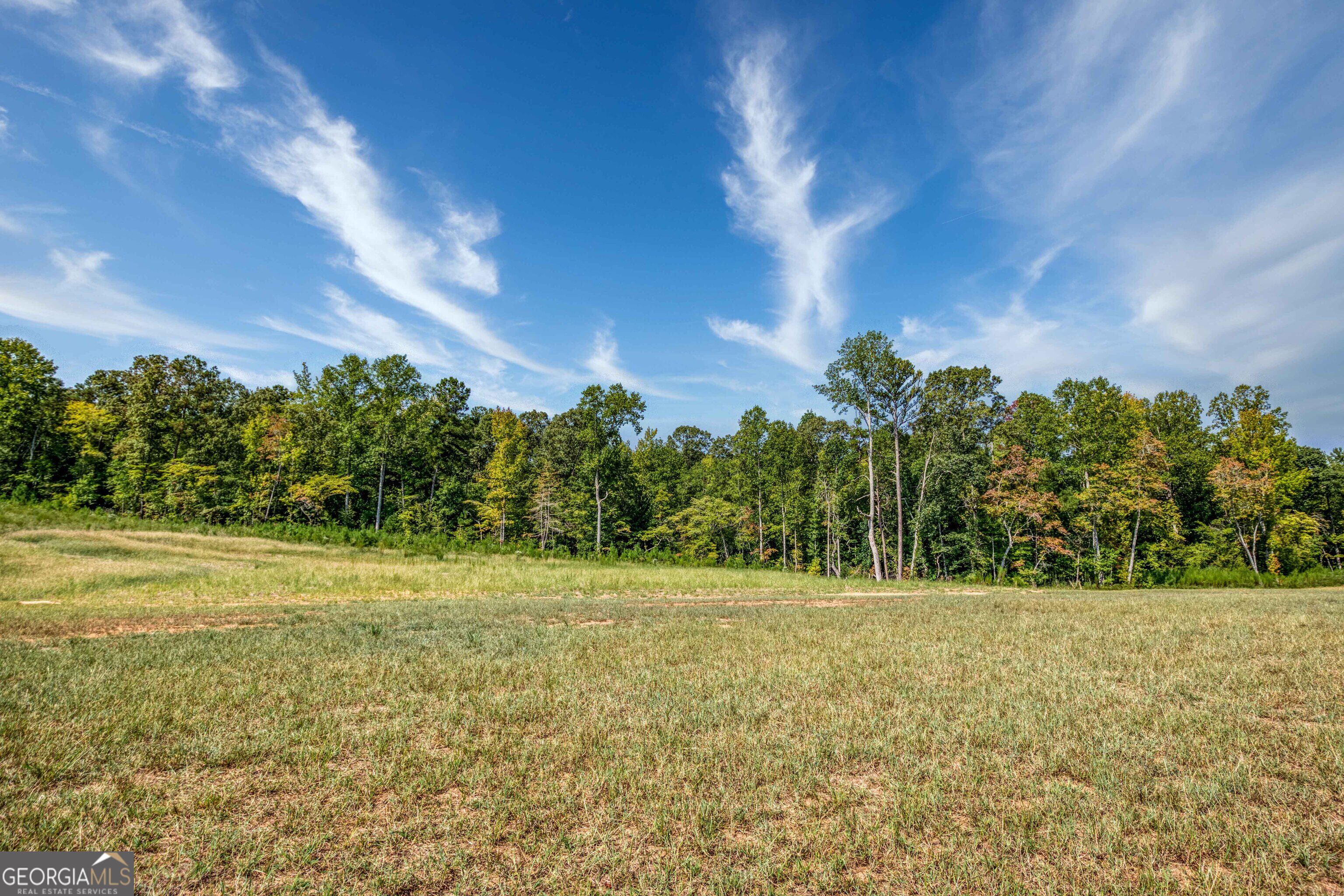 692 Hutchins Wolfskin Road Property Photo 60