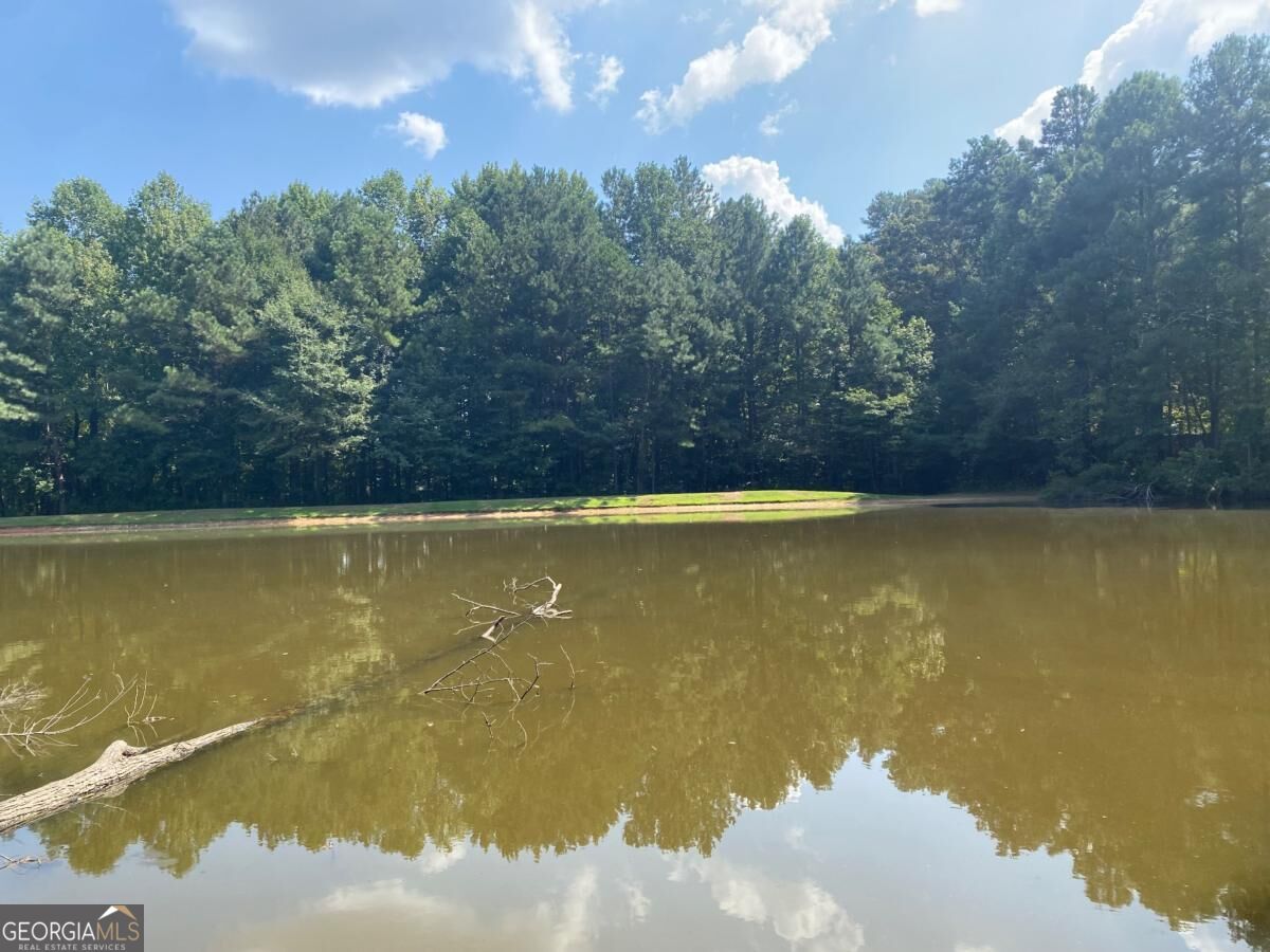 1100 Billy Mcgee Road Property Photo 2