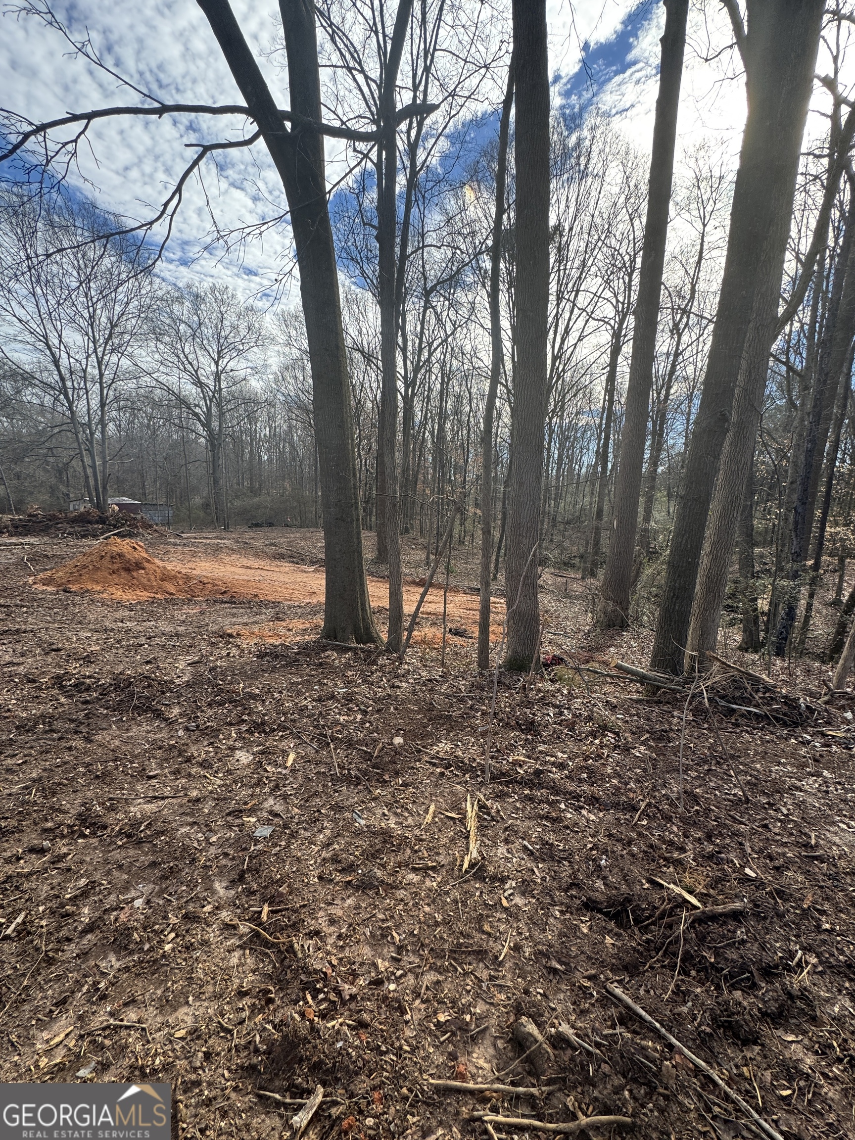 231 Roosevelt Circle Property Photo 4