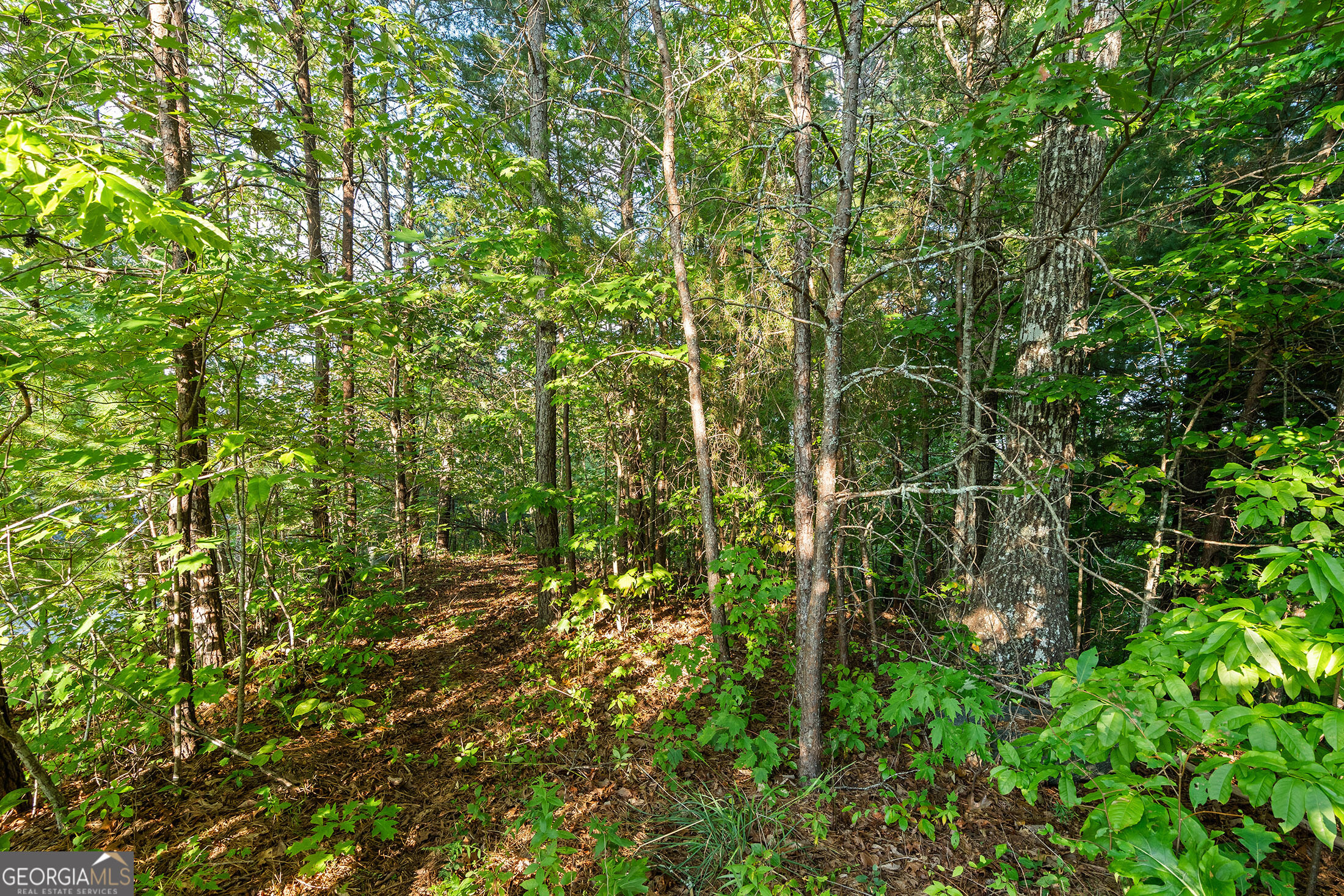 0 Grey Fox Trail B11 Property Photo 19