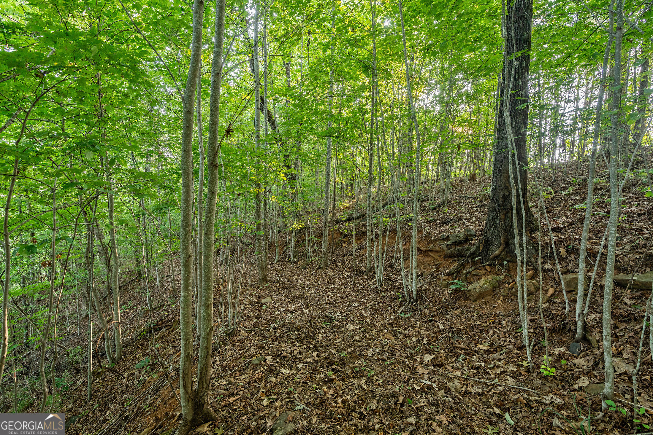 0 Grey Fox Trail B11 Property Photo 20