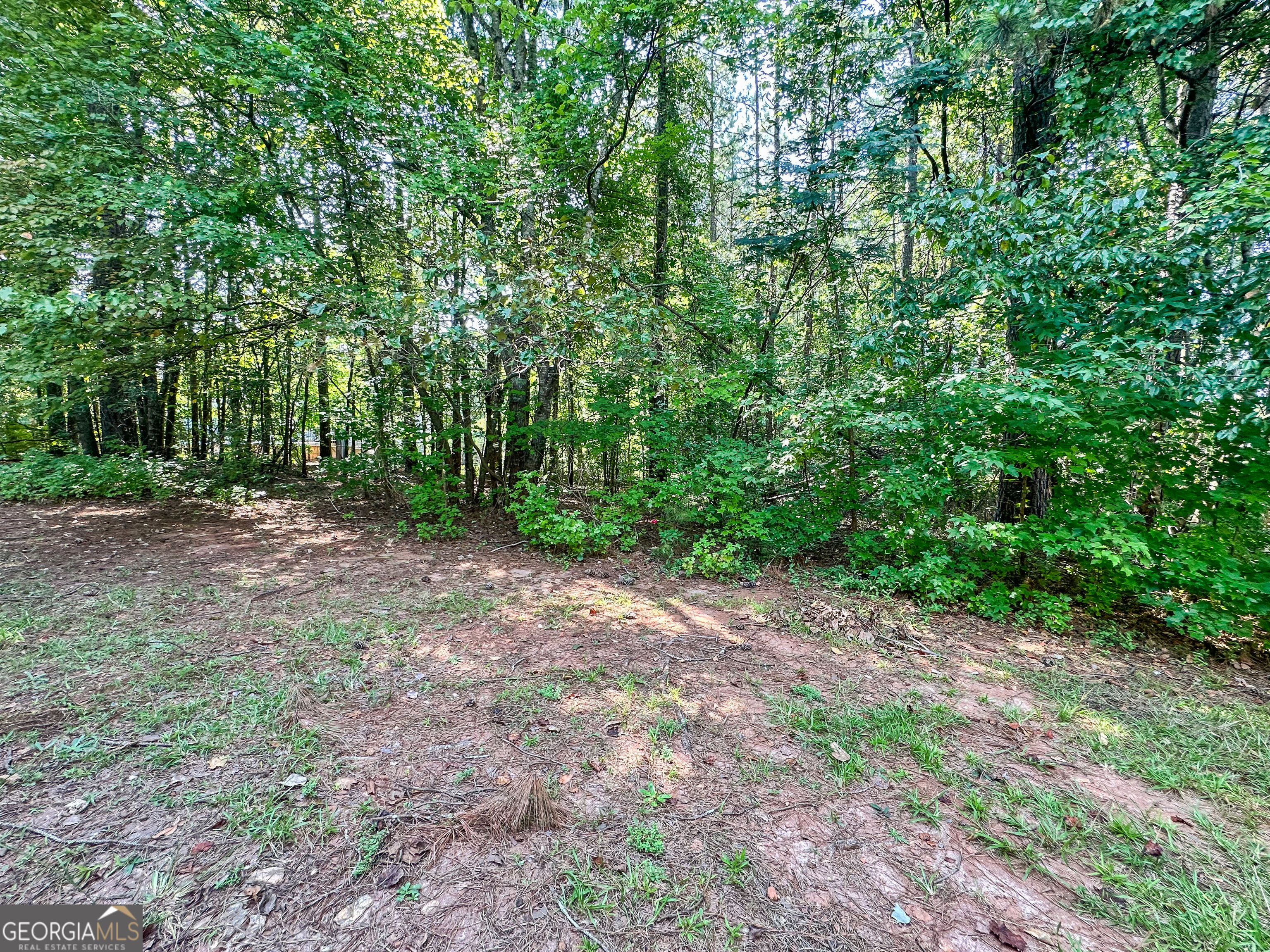 335 Paradise Drive Property Photo 17