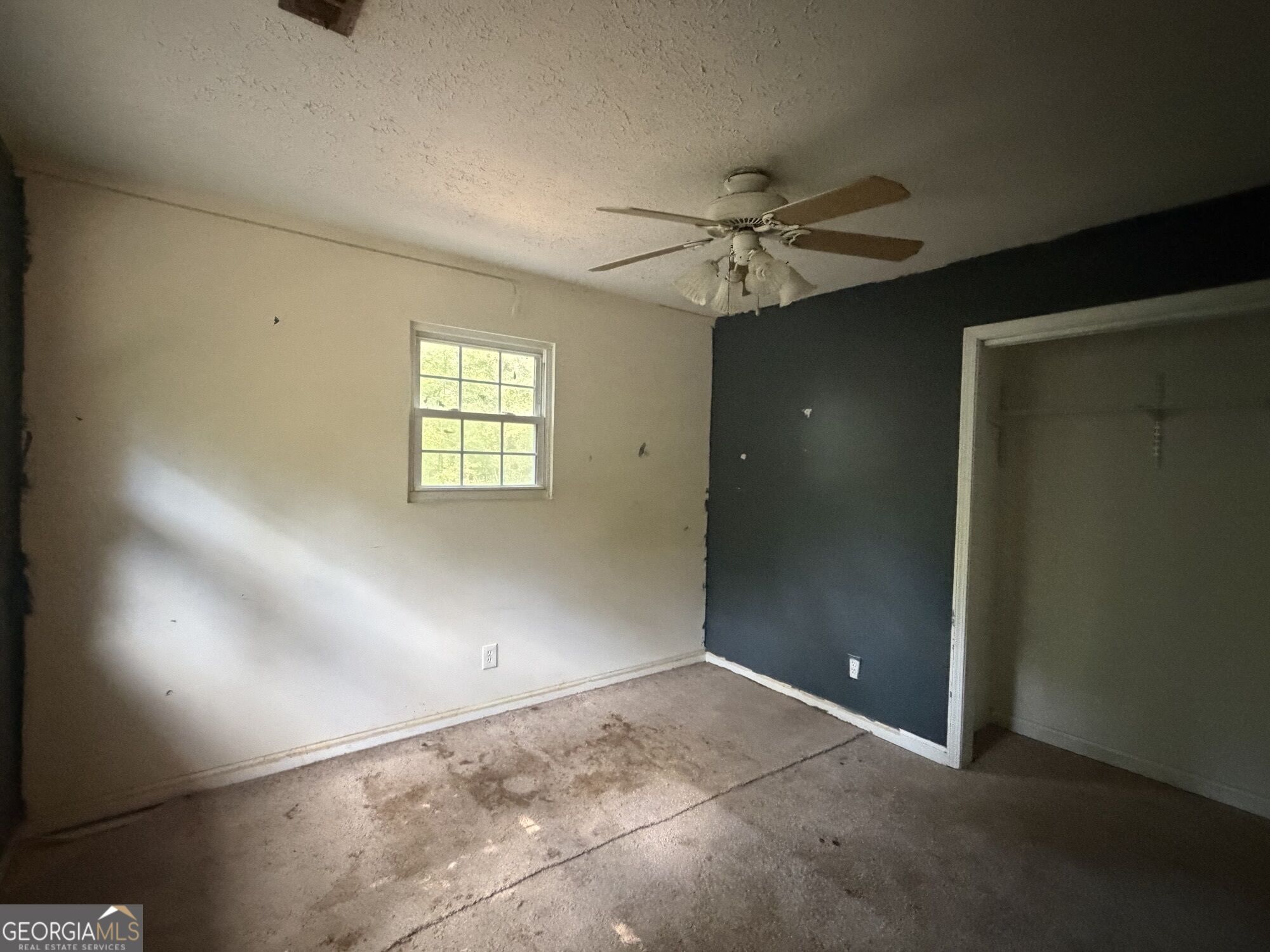 175 Collins Road Property Photo 11