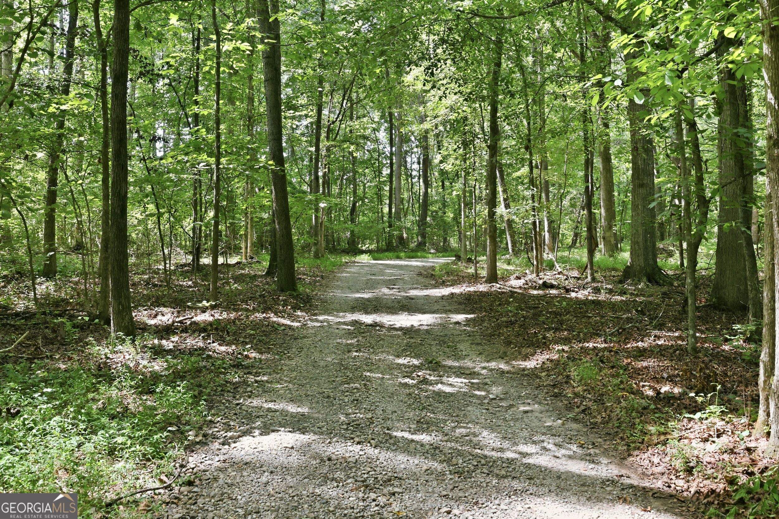 4829-a Old Pendergrass Road Property Photo 5