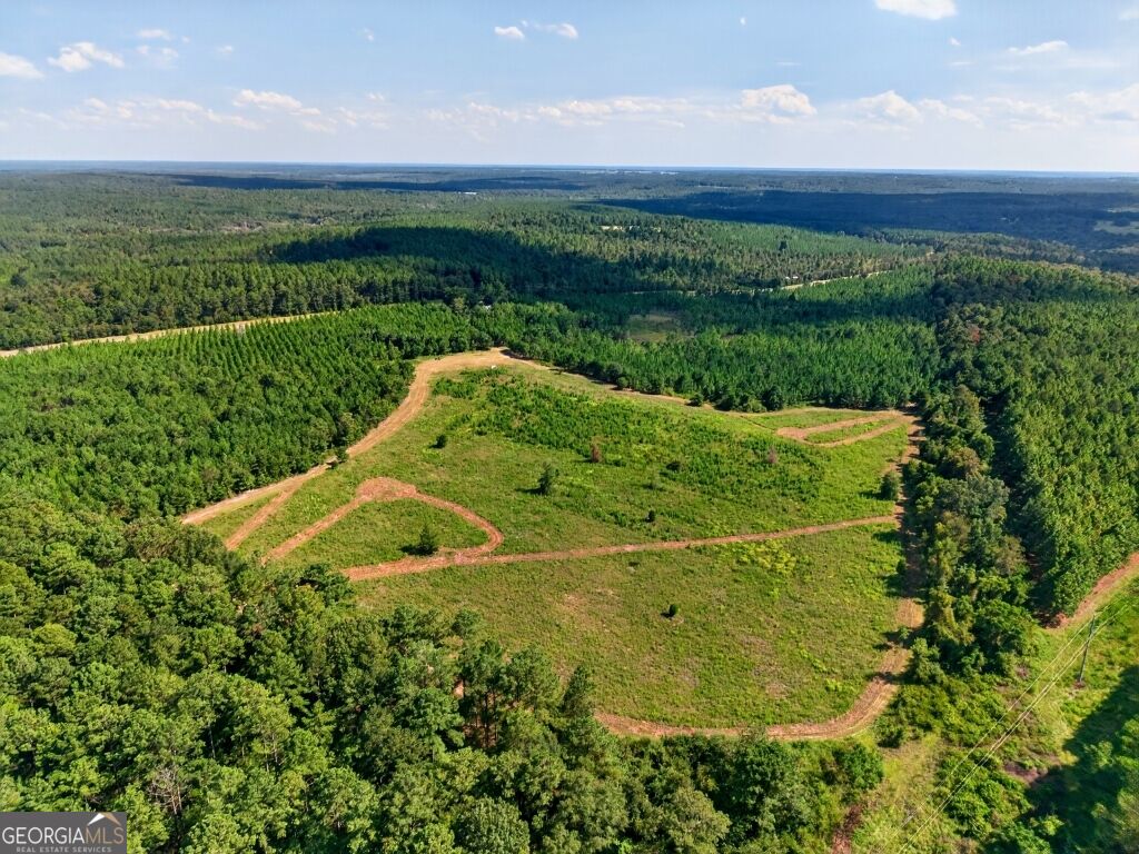 2150 Buena Vista Highway Property Photo 1