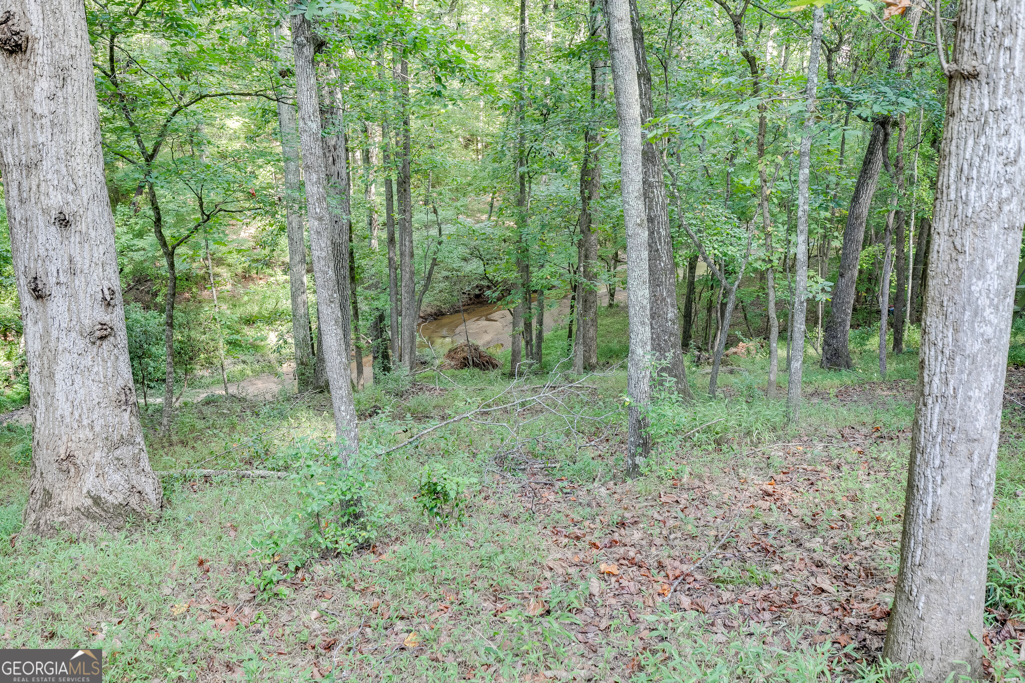 1340 Calls Creek Circle Property Photo 51
