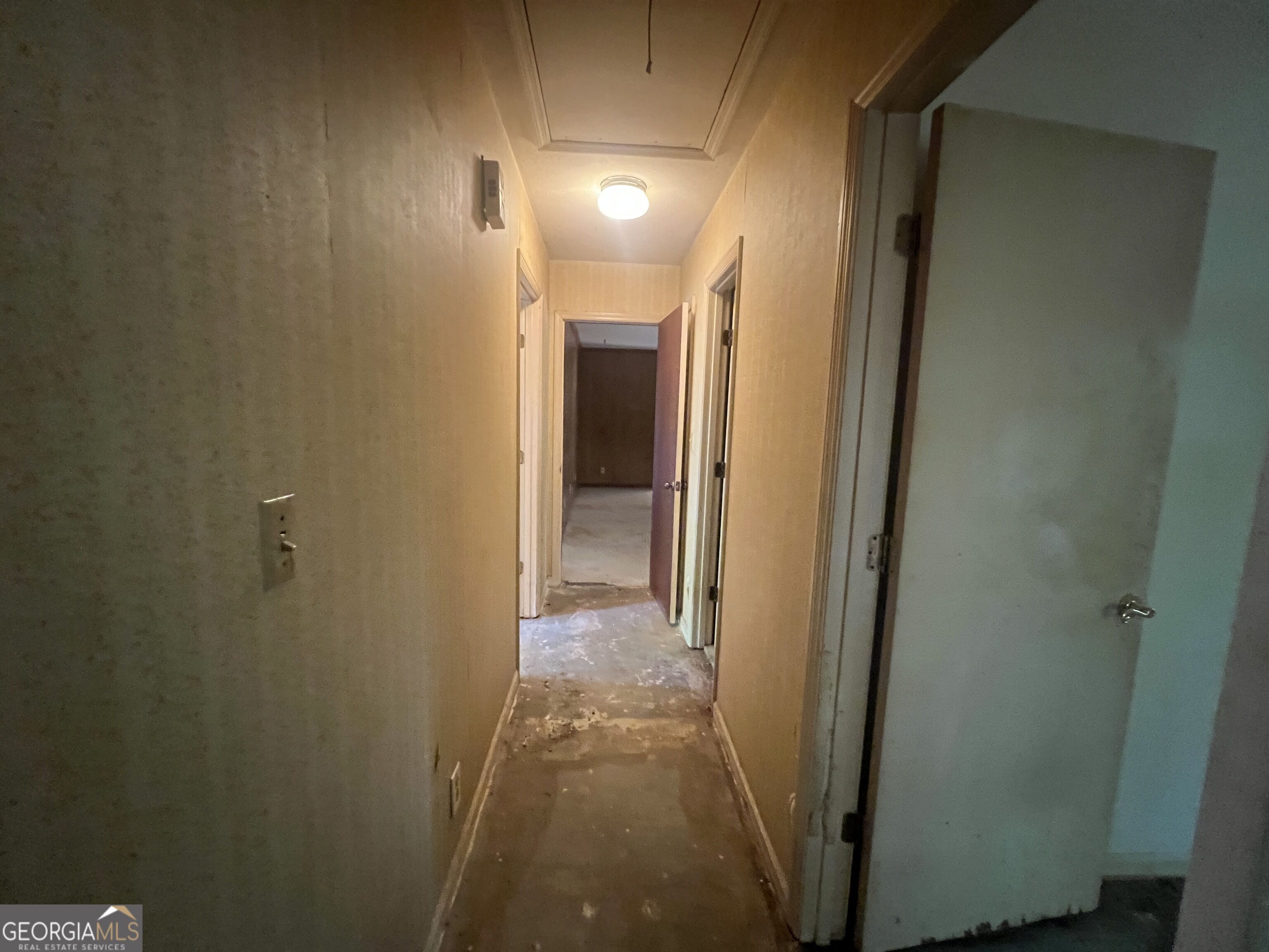 404 Debra Drive Property Photo 21