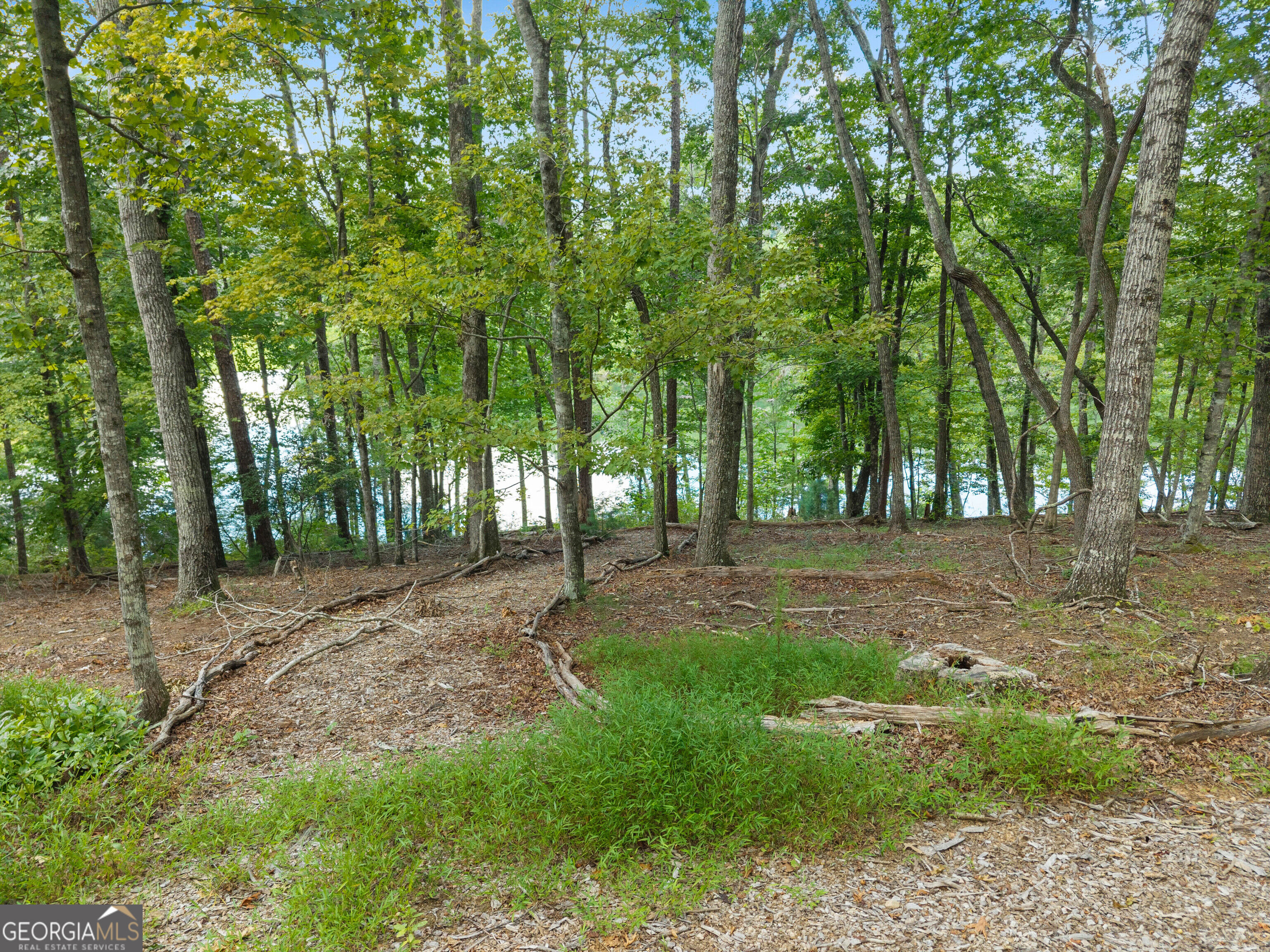 501 High Meadow Lakes Rd Property Photo 37