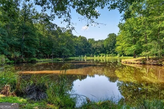 961 Birdie Road Property Photo 4