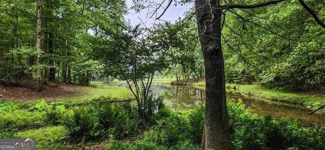 961 Birdie Road Property Photo 21