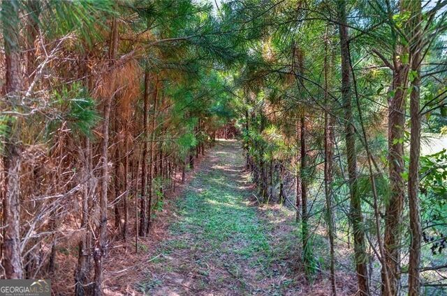 961 Birdie Road Property Photo 23