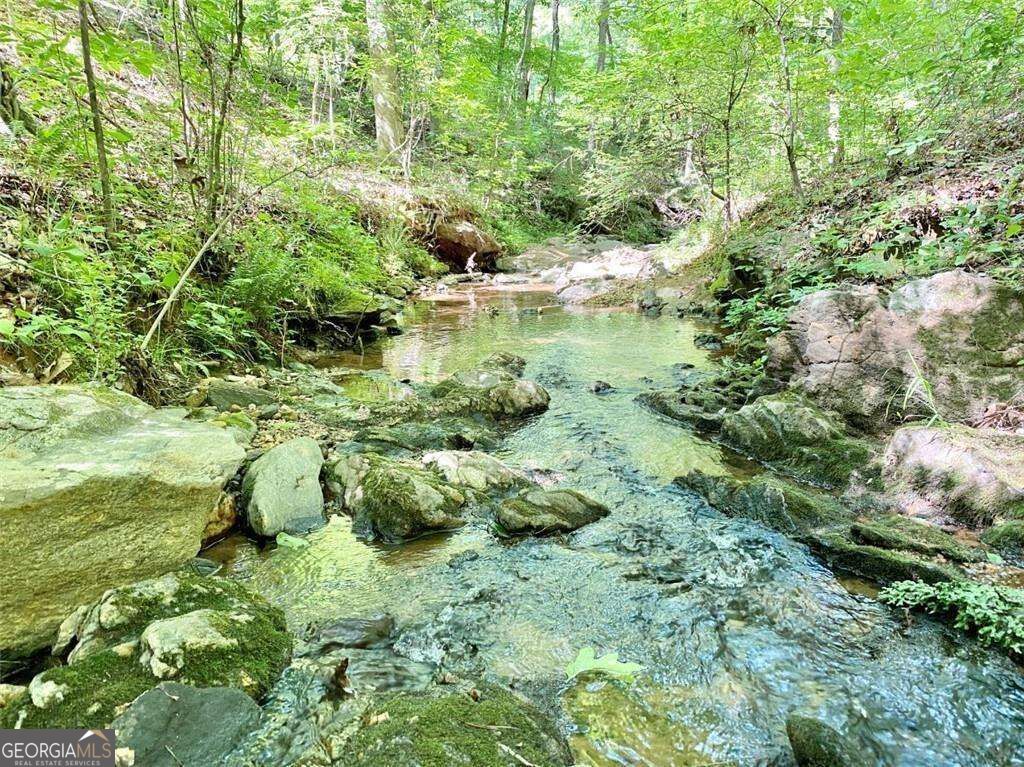 6250 White Mill Road Property Photo 34