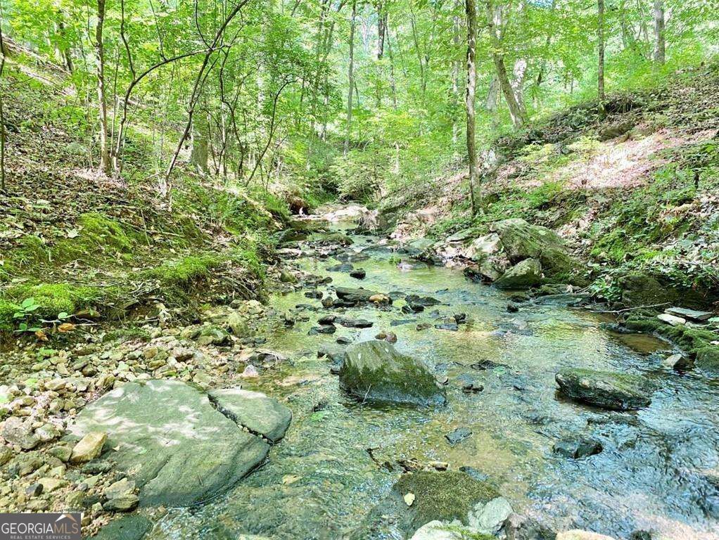 6250 White Mill Road Property Photo 35