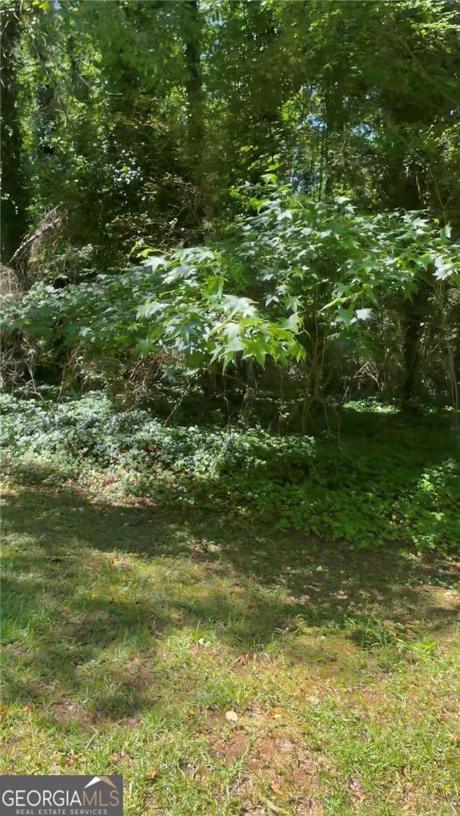 3300 Cascade Road Sw Property Photo 8