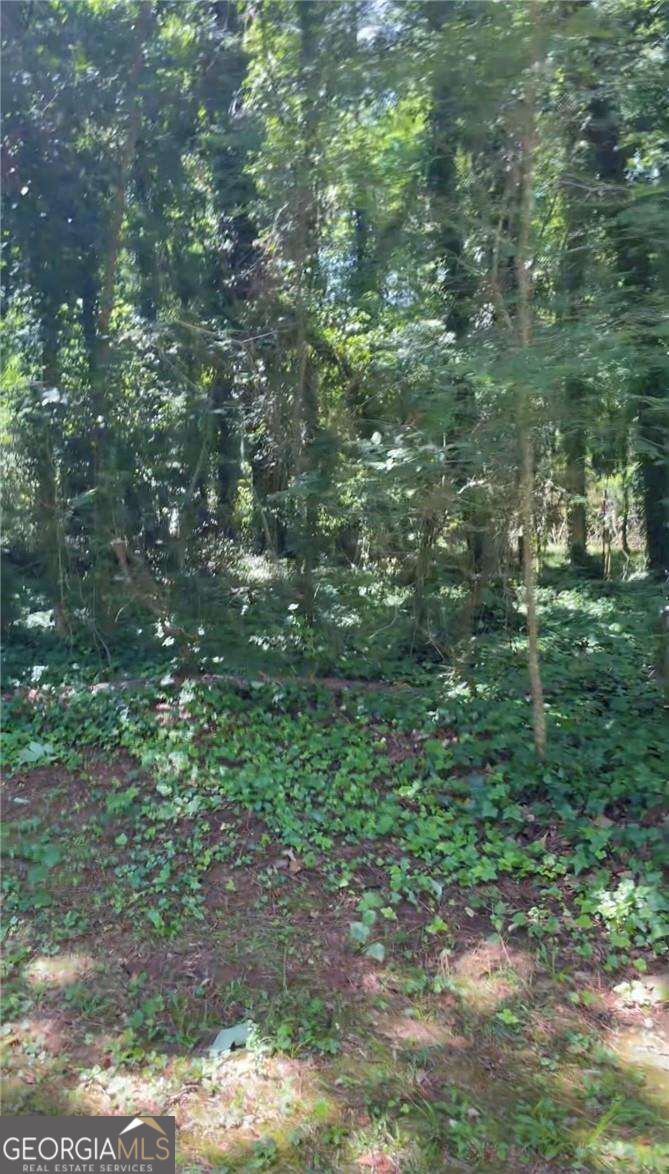 3300 Cascade Road Sw Property Photo 9