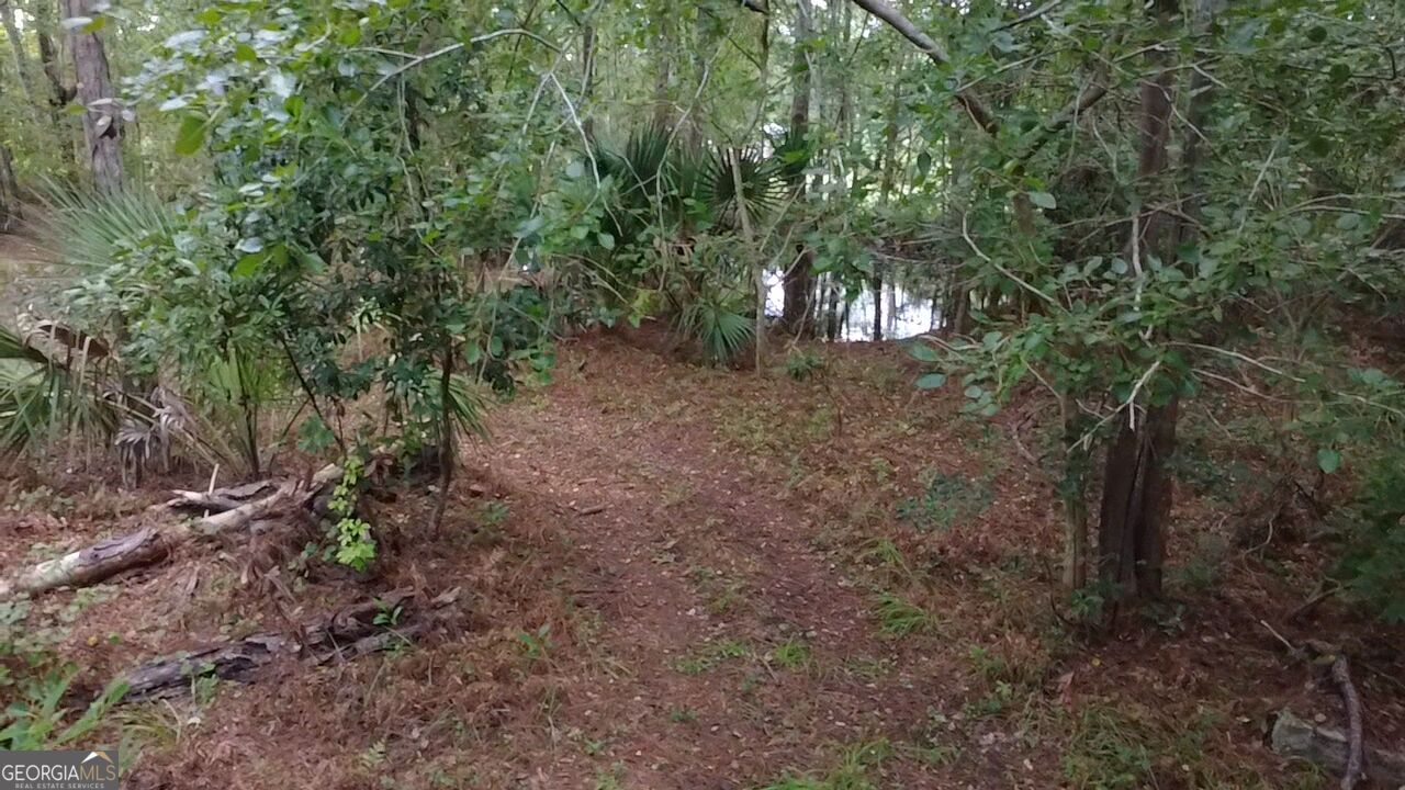 3929 Memorial Drive Property Photo 46