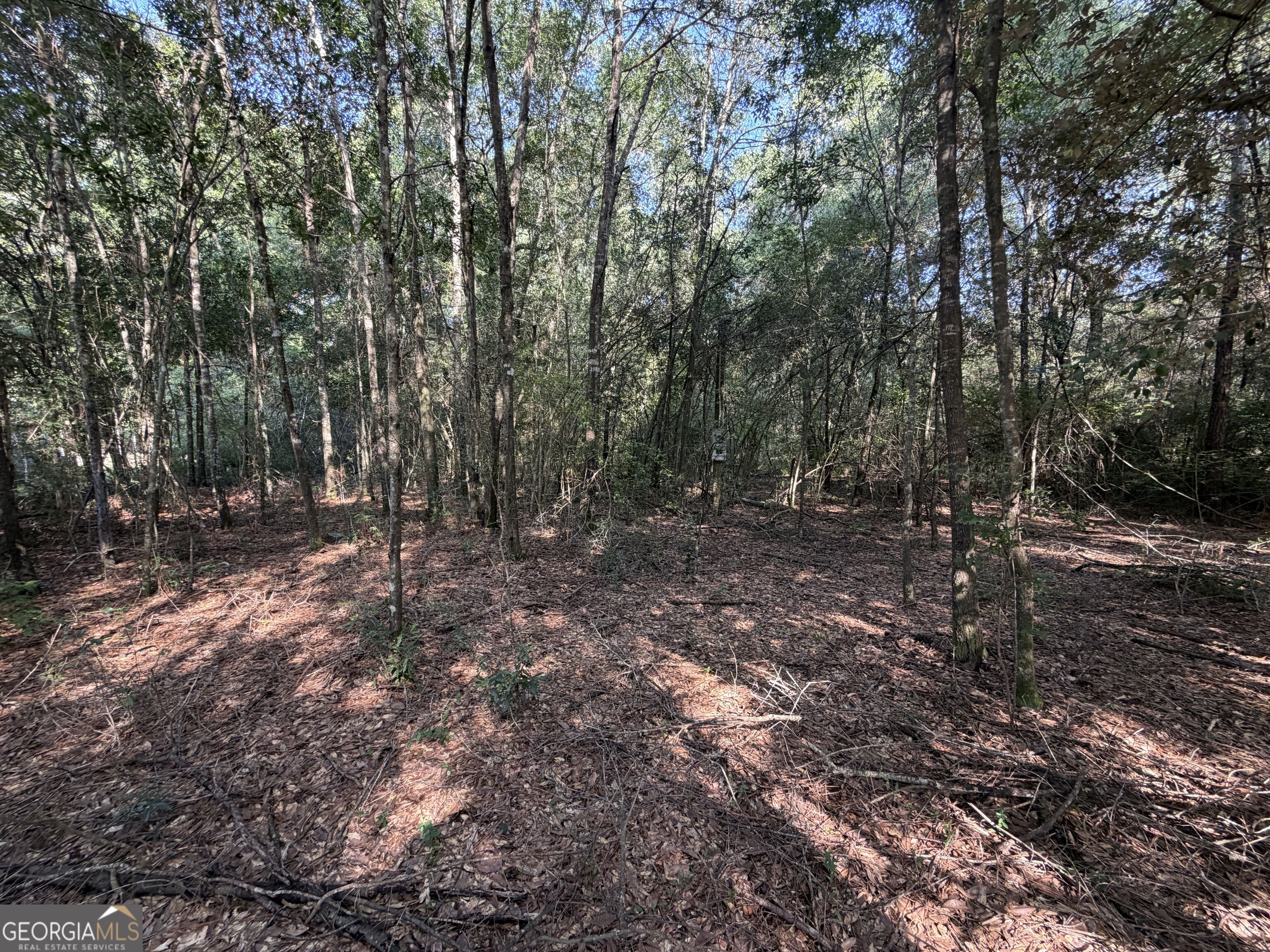 399 Perdue Road Property Photo 16
