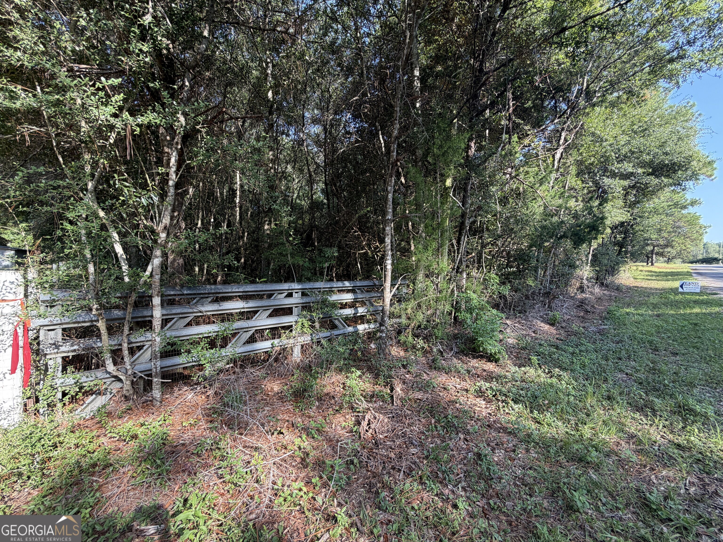 399 Perdue Road Property Photo 17