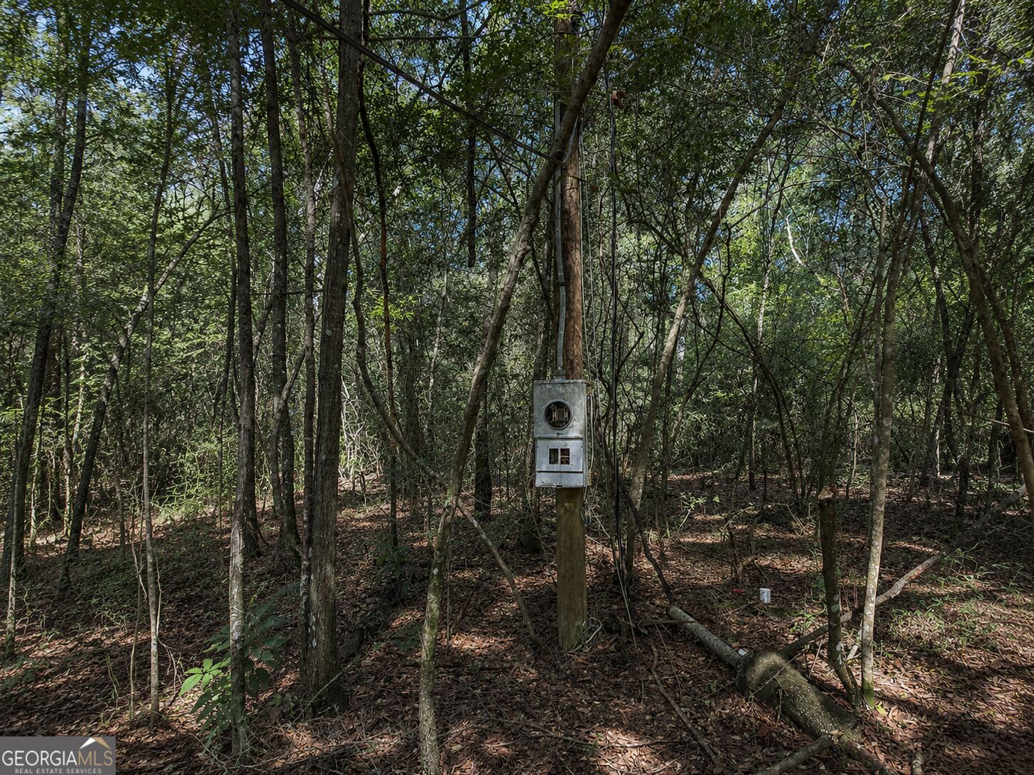 399 Perdue Road Property Photo 19