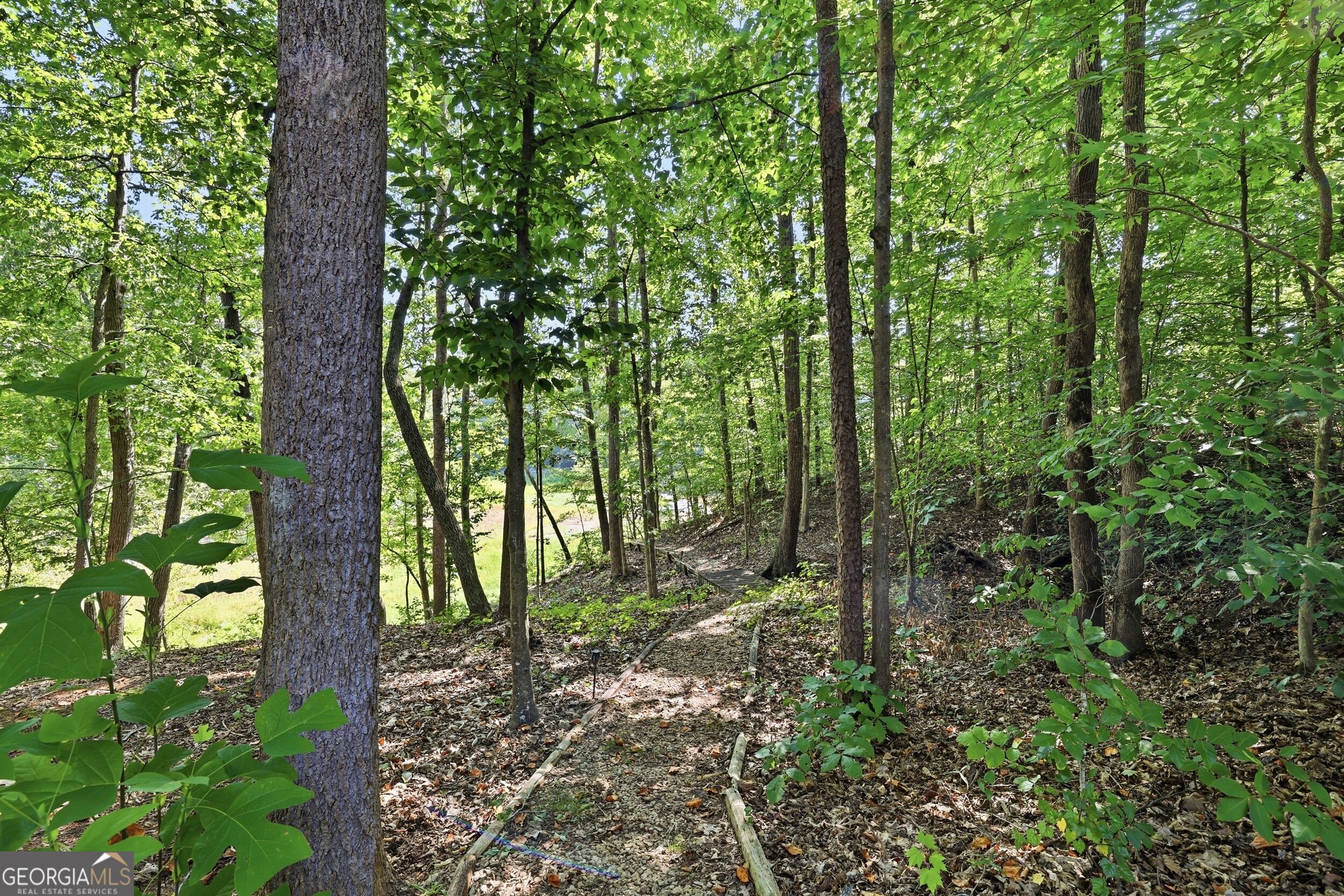 1 Pine Needle Trail Property Photo 27