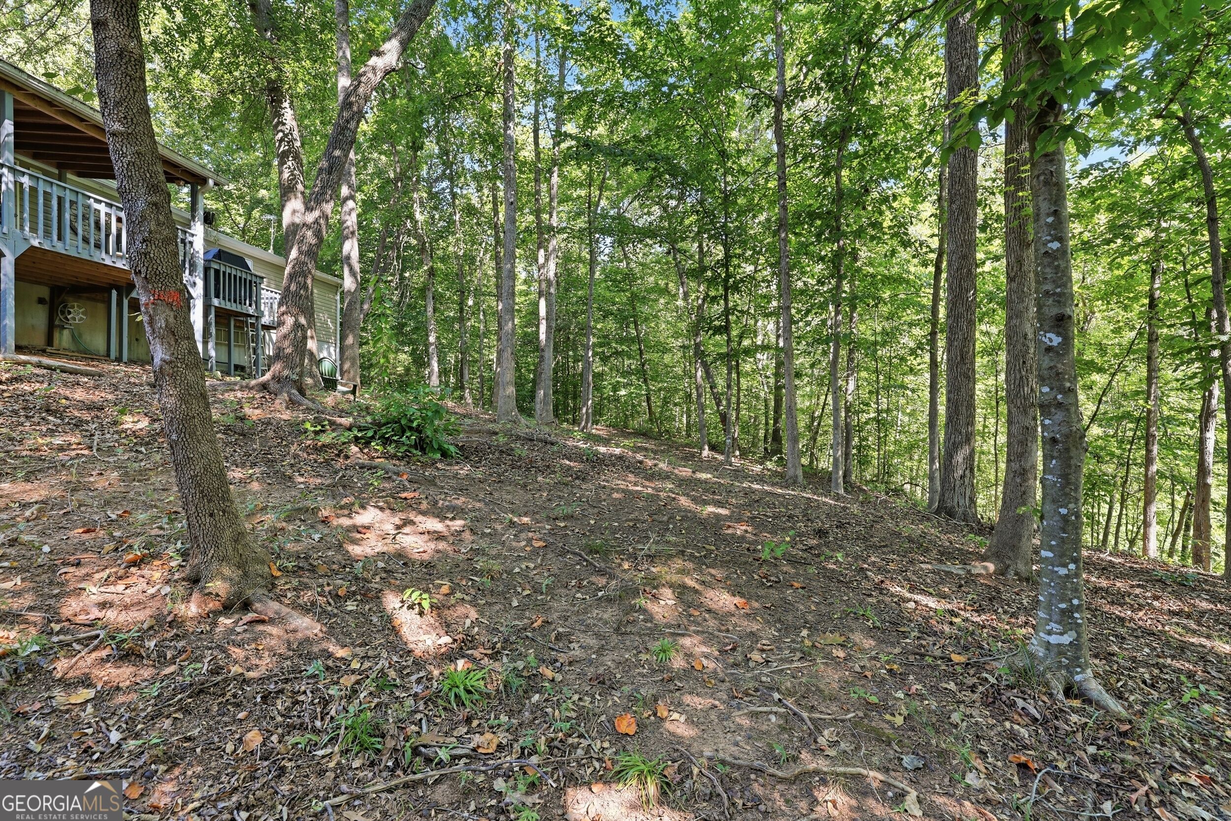 1 Pine Needle Trail Property Photo 28