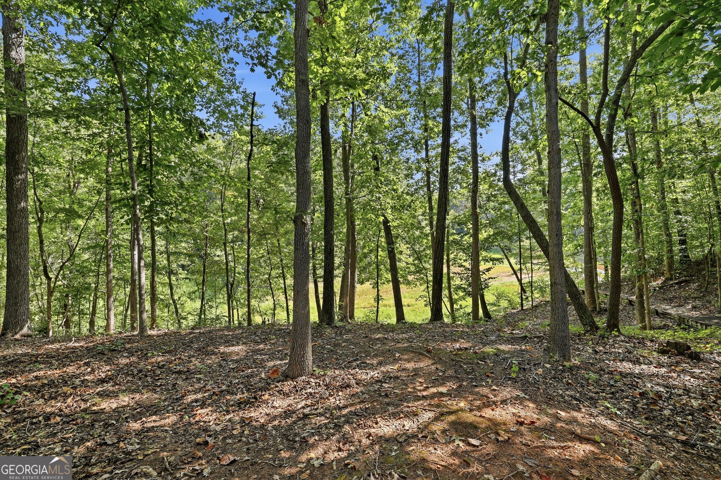 1 Pine Needle Trail Property Photo 29