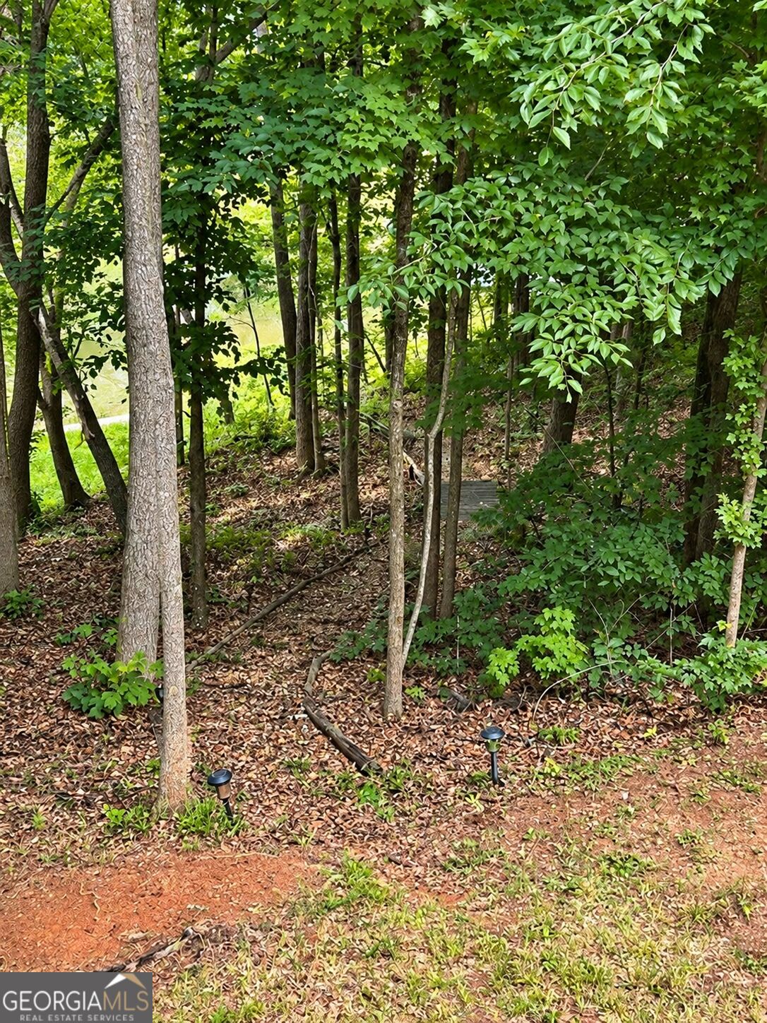 1 Pine Needle Trail Property Photo 42