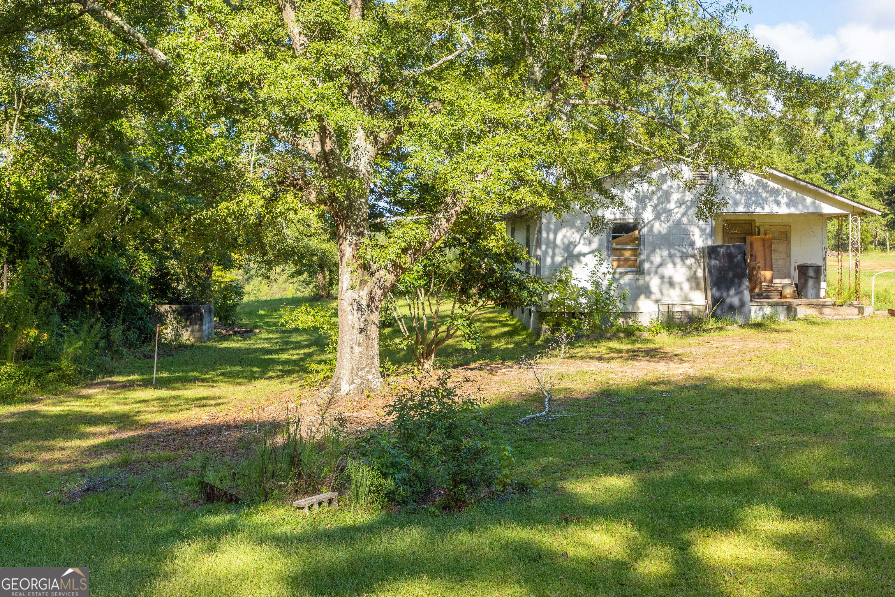 655 White Road Property Photo 9