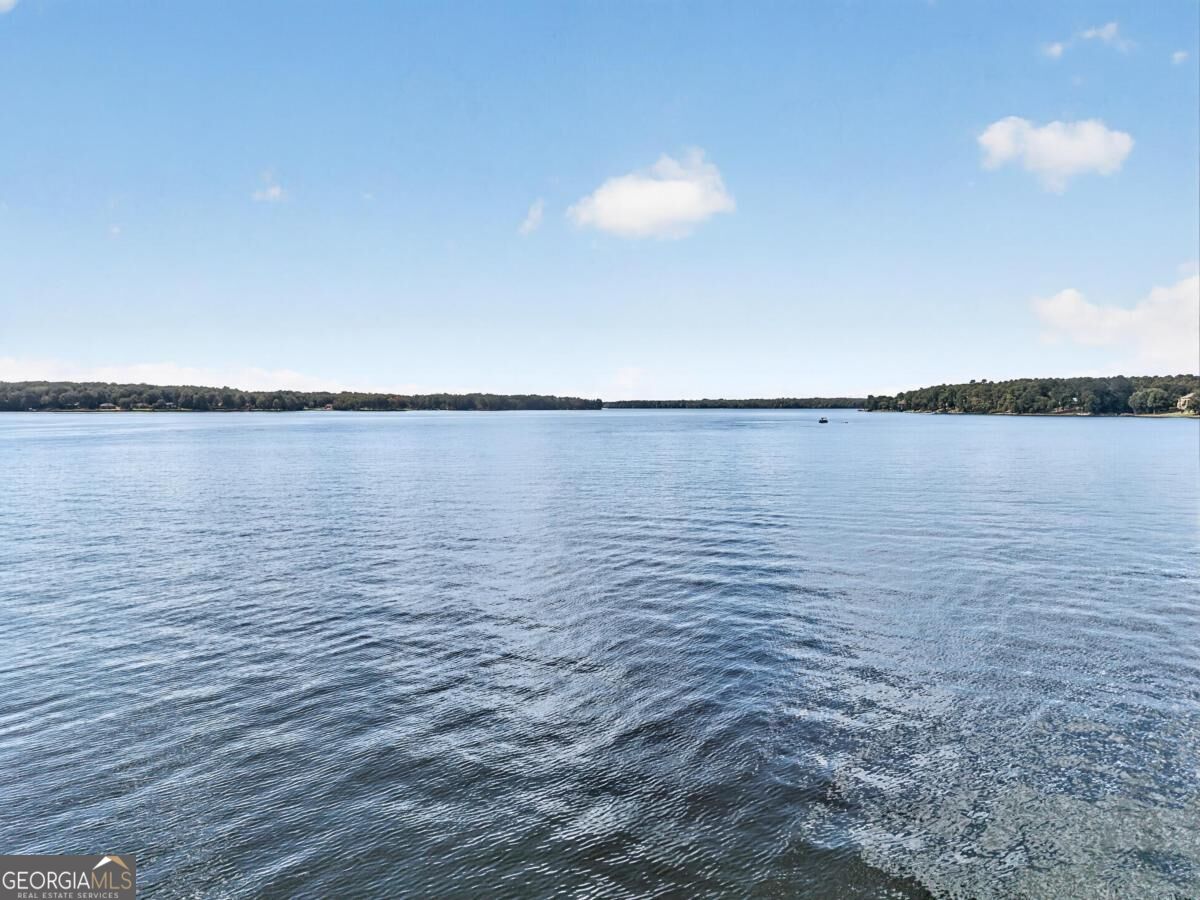 1131 Kingfisher Point Property Photo 73