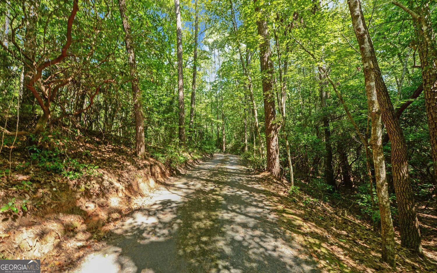 3014 Prather Bridge Road Property Photo 47