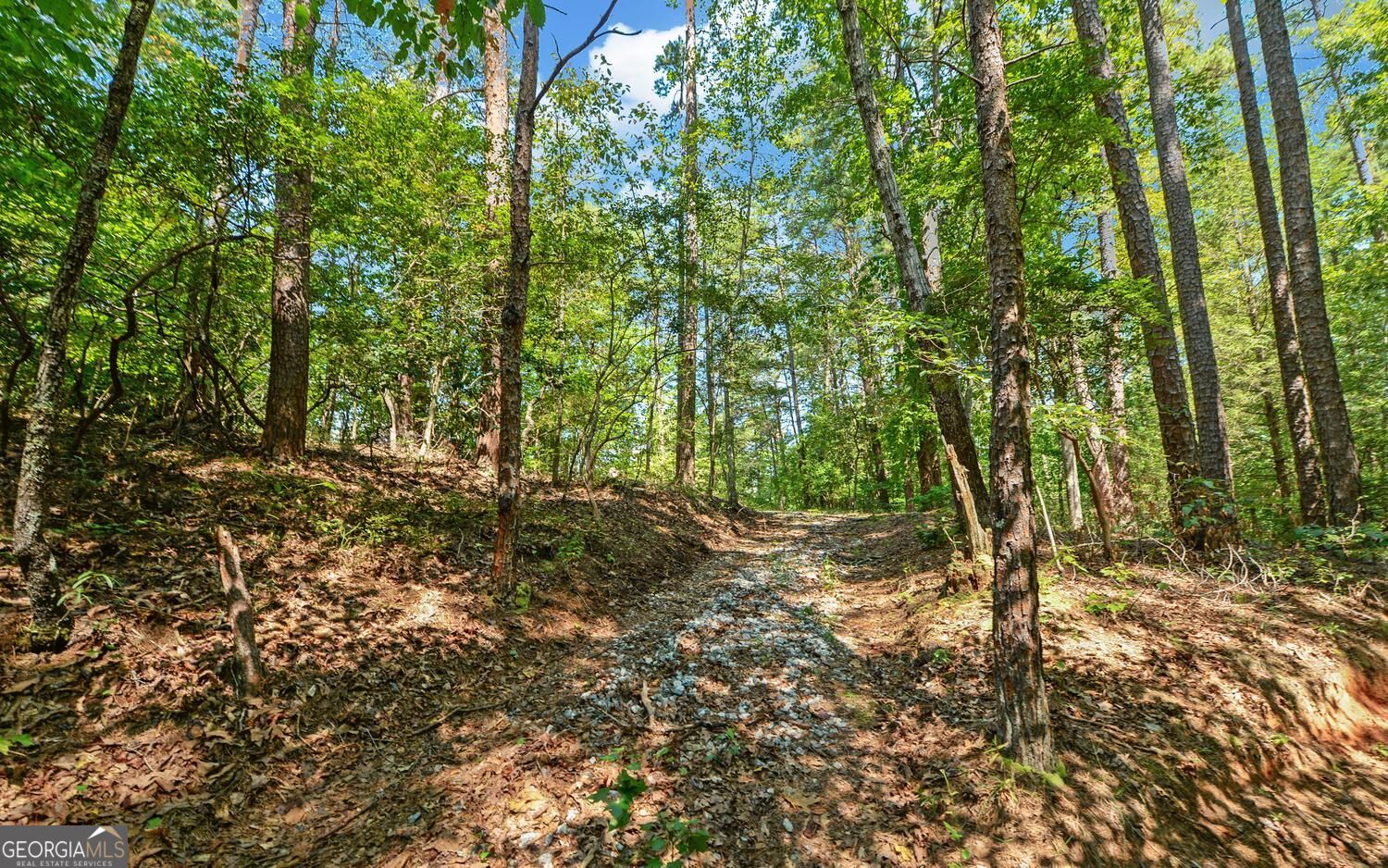 3014 Prather Bridge Road Property Photo 49