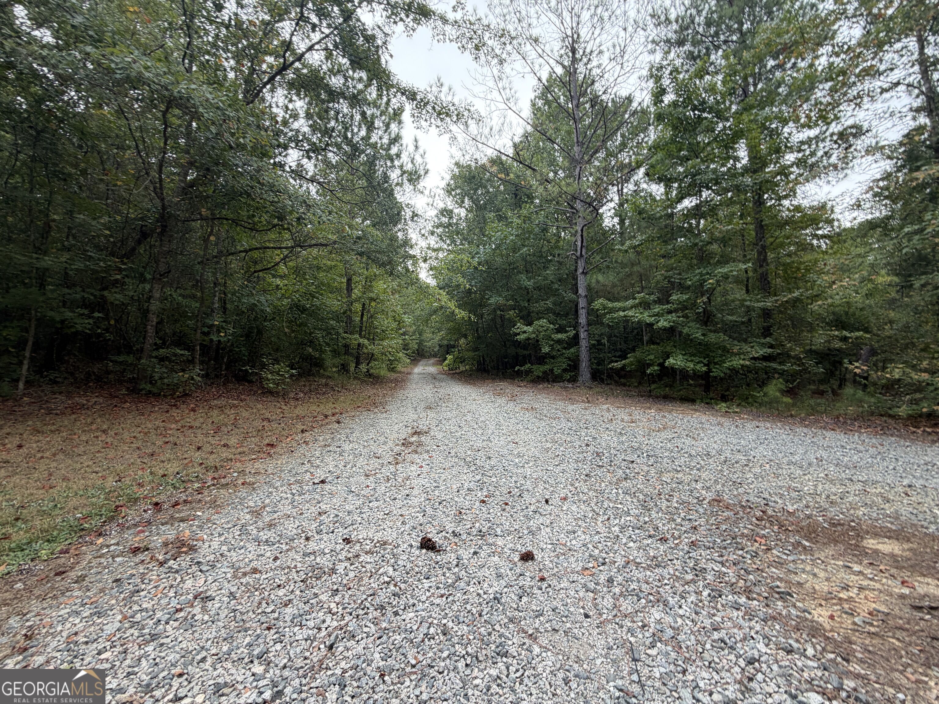 2643 Deepstep Creek Road Property Photo 25