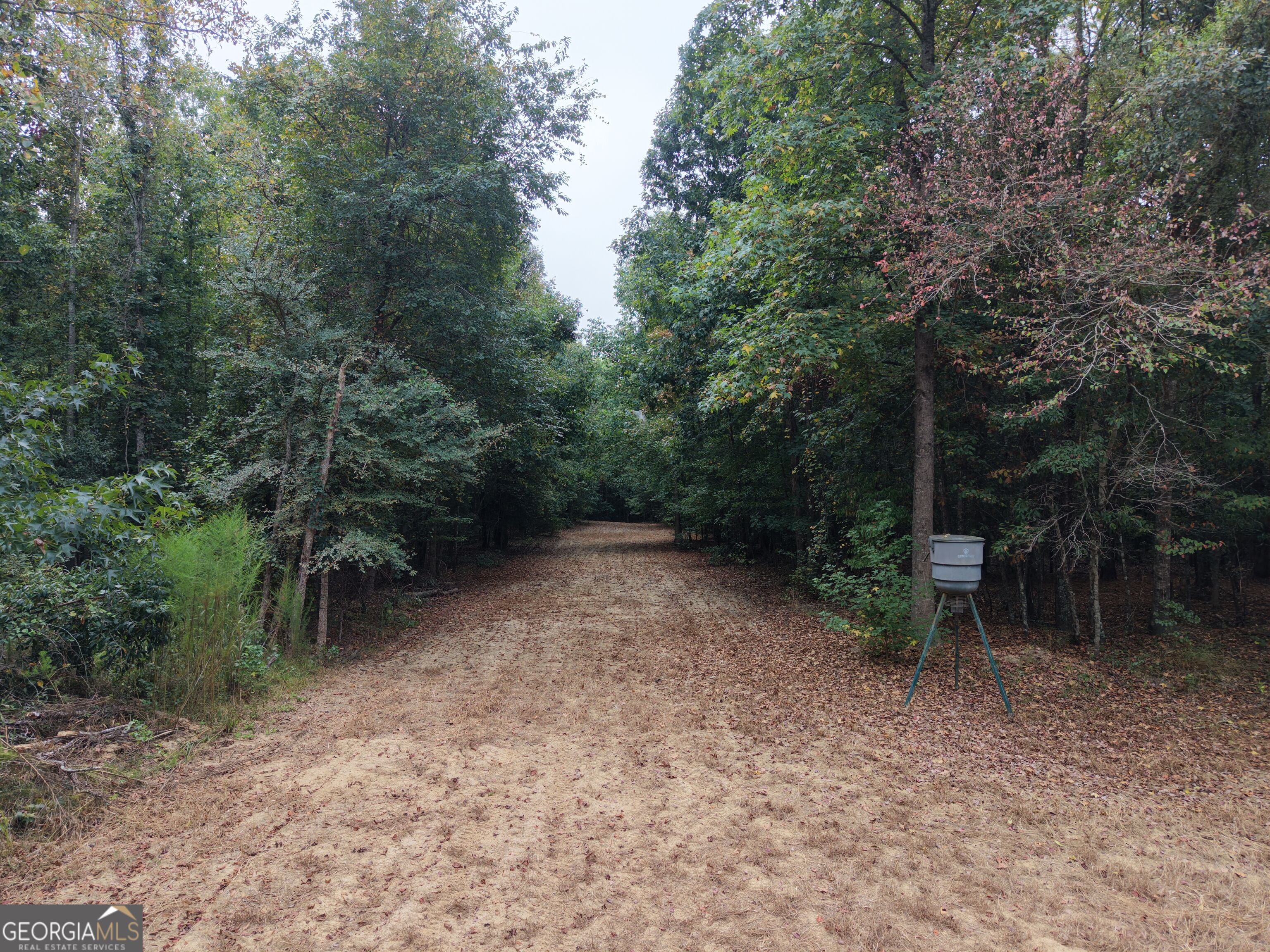 2643 Deepstep Creek Road Property Photo 34