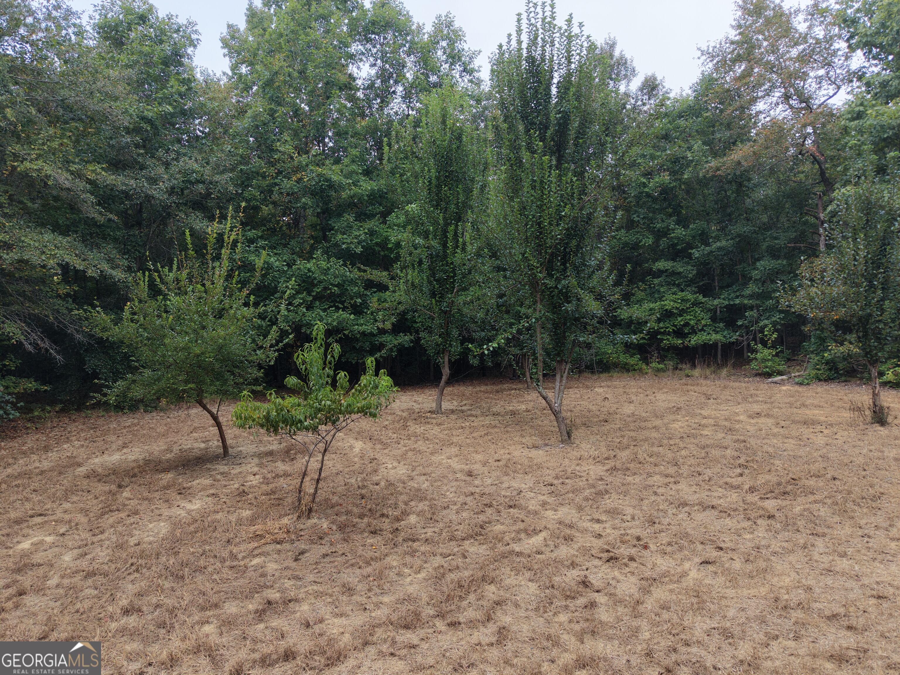 2643 Deepstep Creek Road Property Photo 35