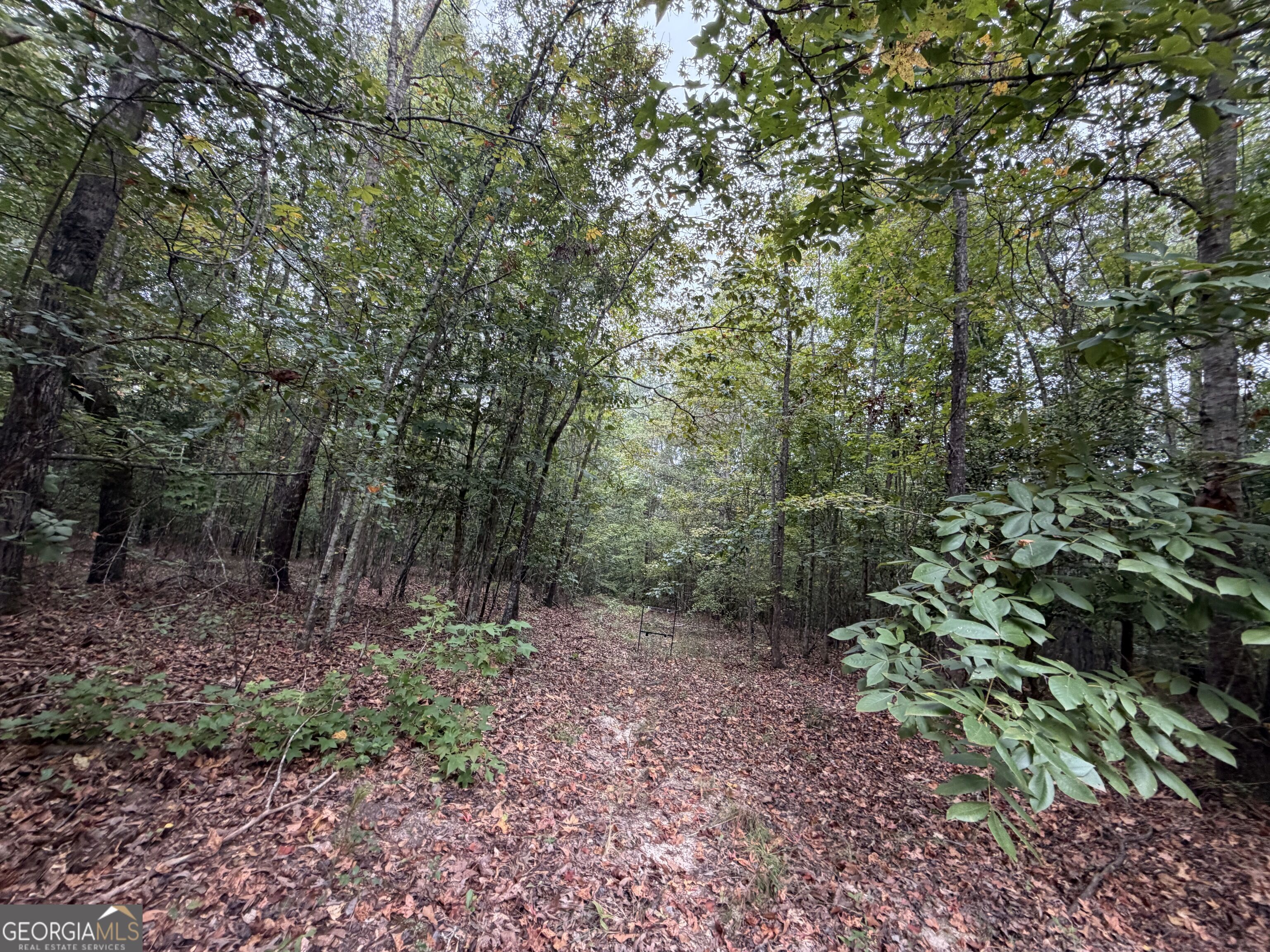 2643 Deepstep Creek Road Property Photo 40