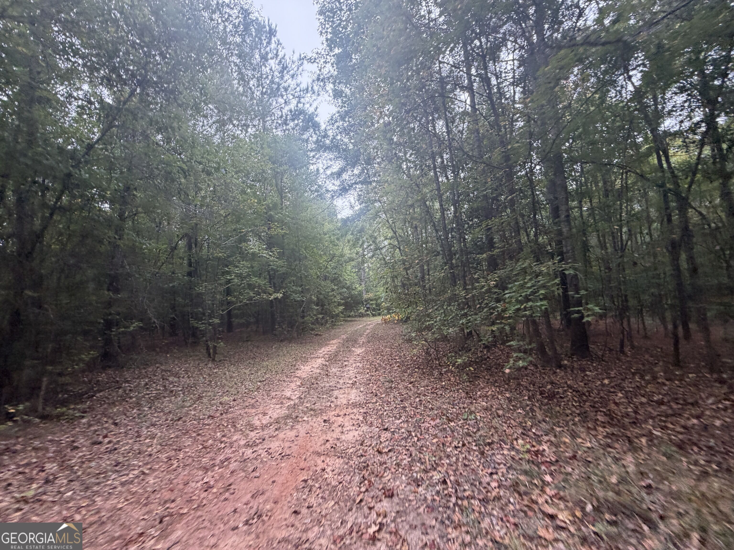 2643 Deepstep Creek Road Property Photo 43