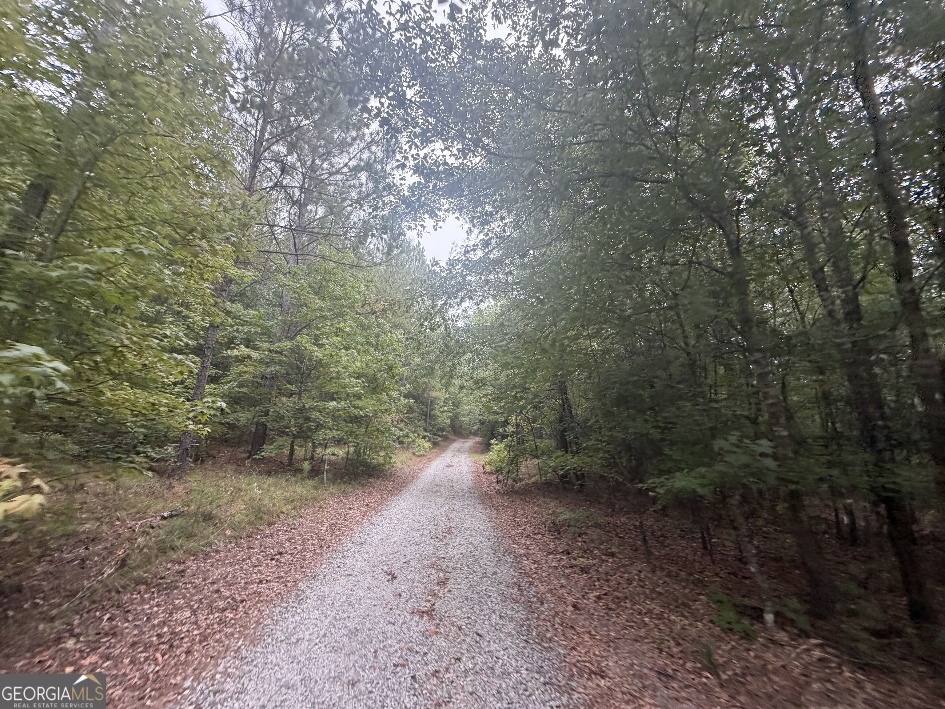 2643 Deepstep Creek Road Property Photo 44