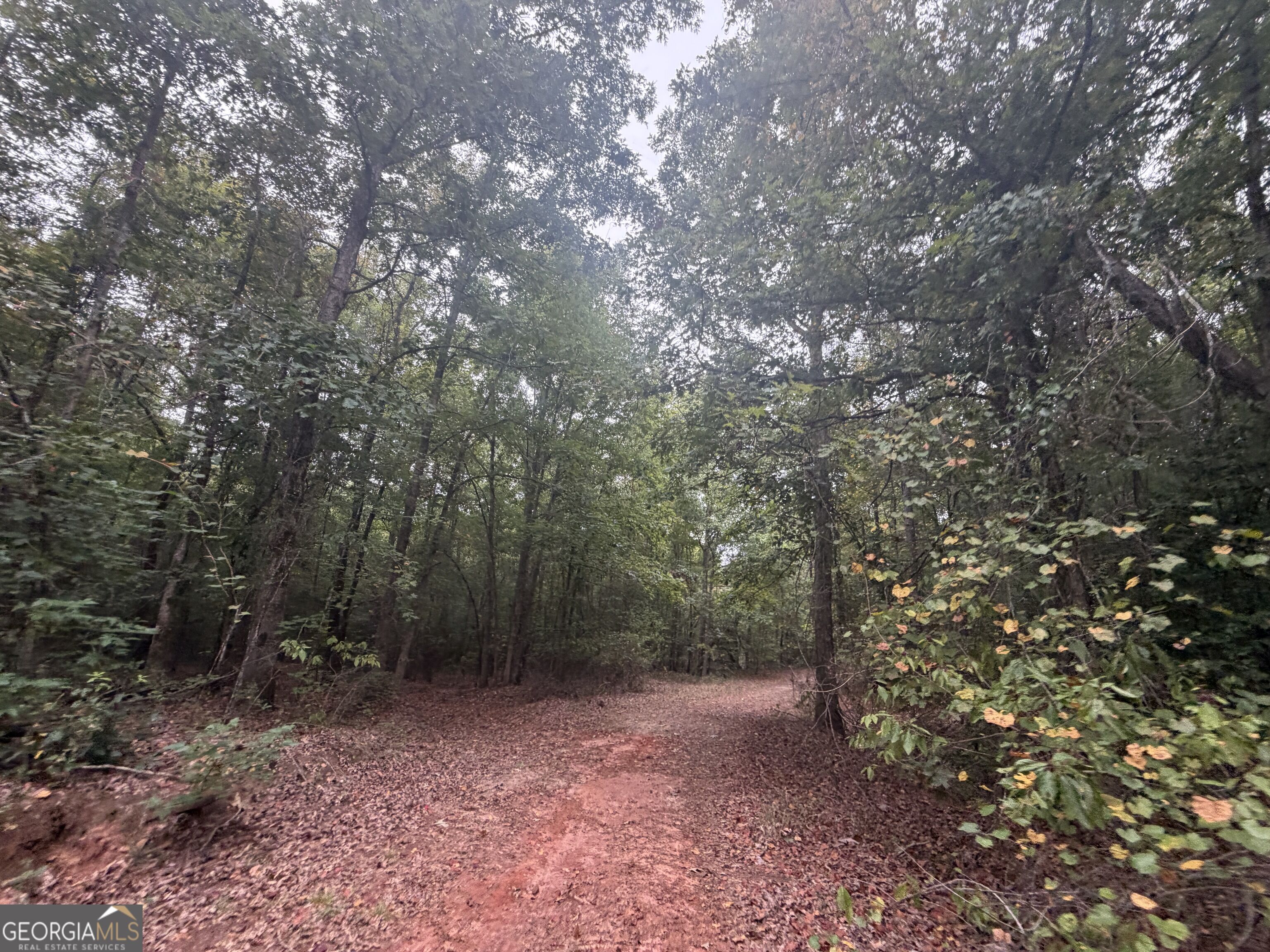 2643 Deepstep Creek Road Property Photo 45