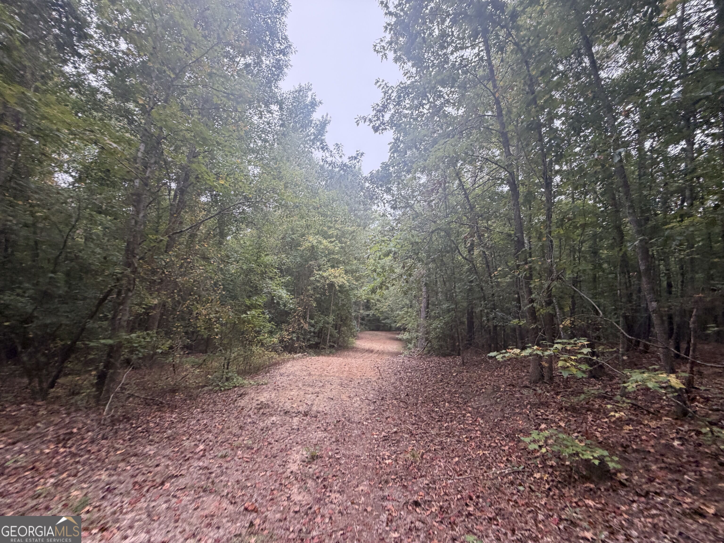 2643 Deepstep Creek Road Property Photo 46