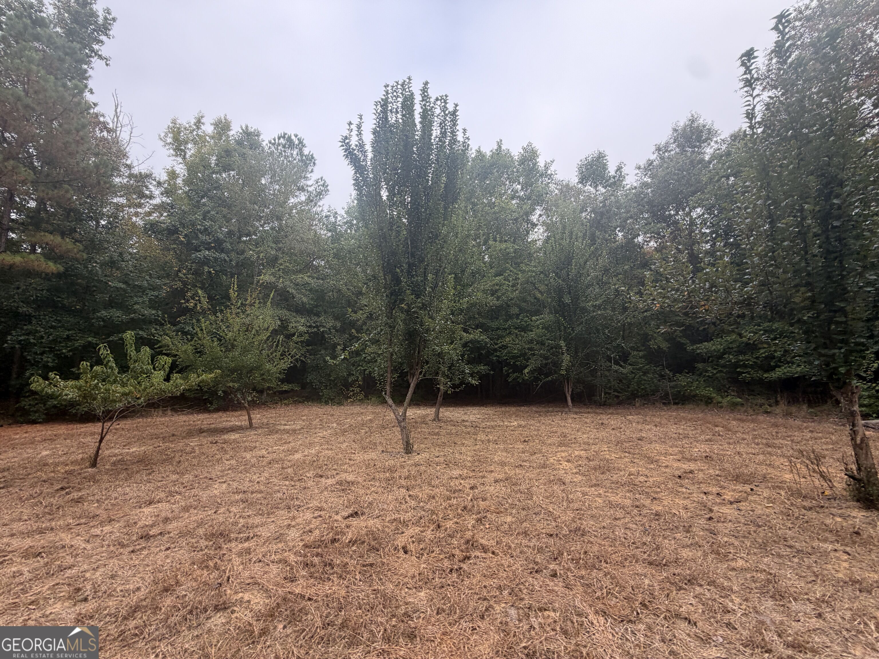 2643 Deepstep Creek Road Property Photo 47