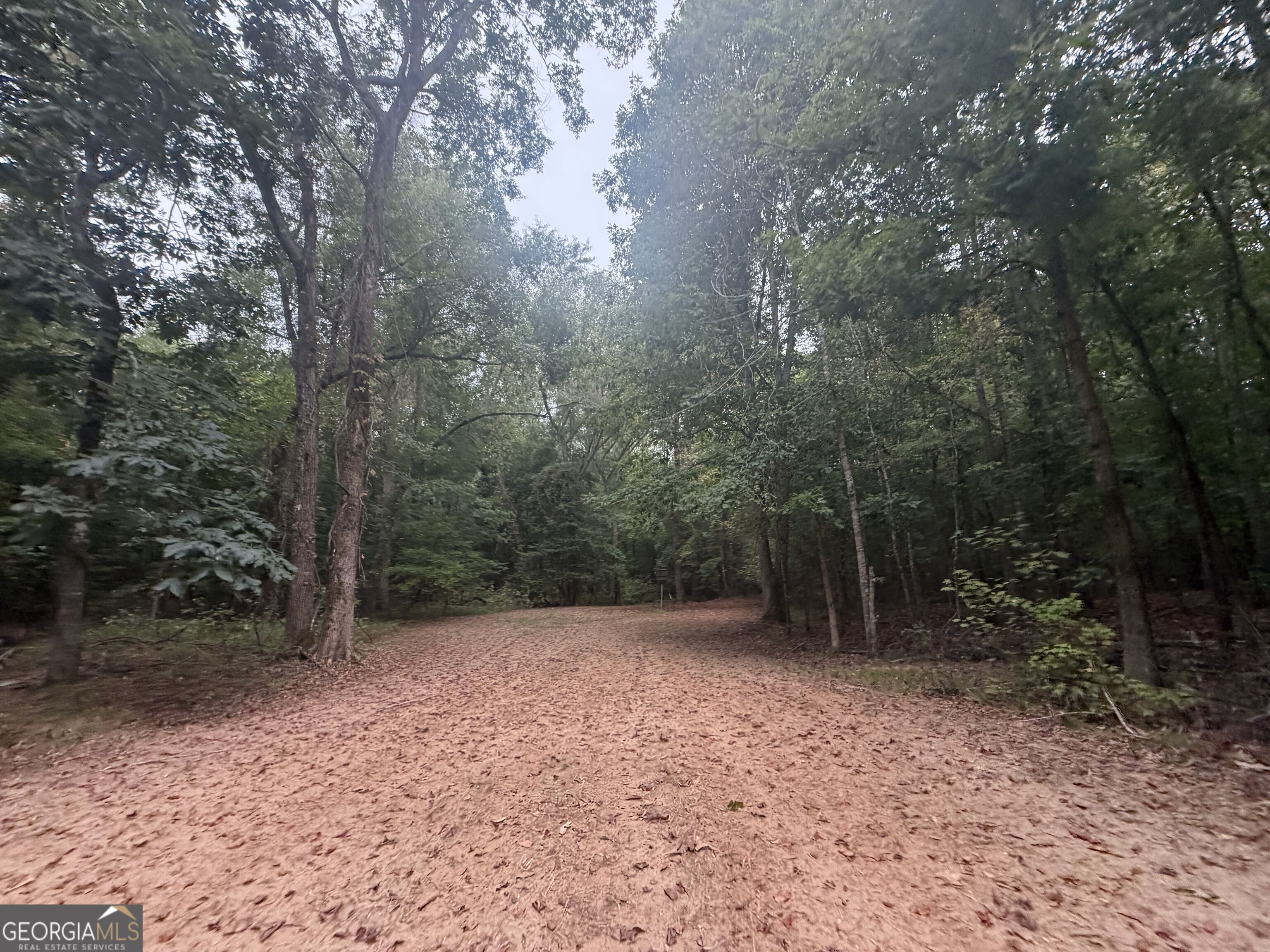 2643 Deepstep Creek Road Property Photo 48