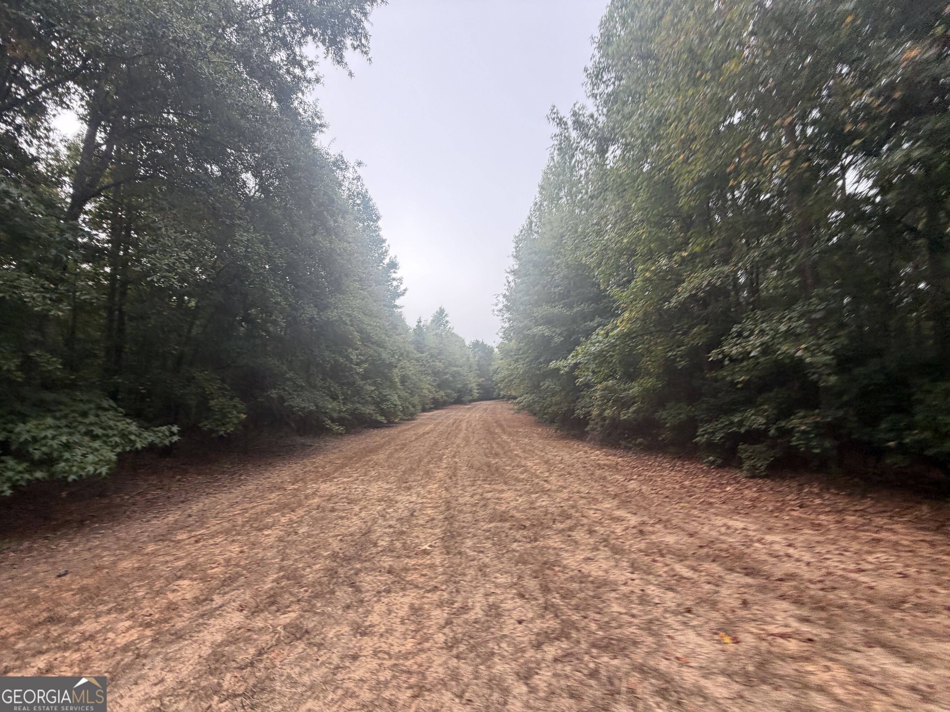 2643 Deepstep Creek Road Property Photo 49