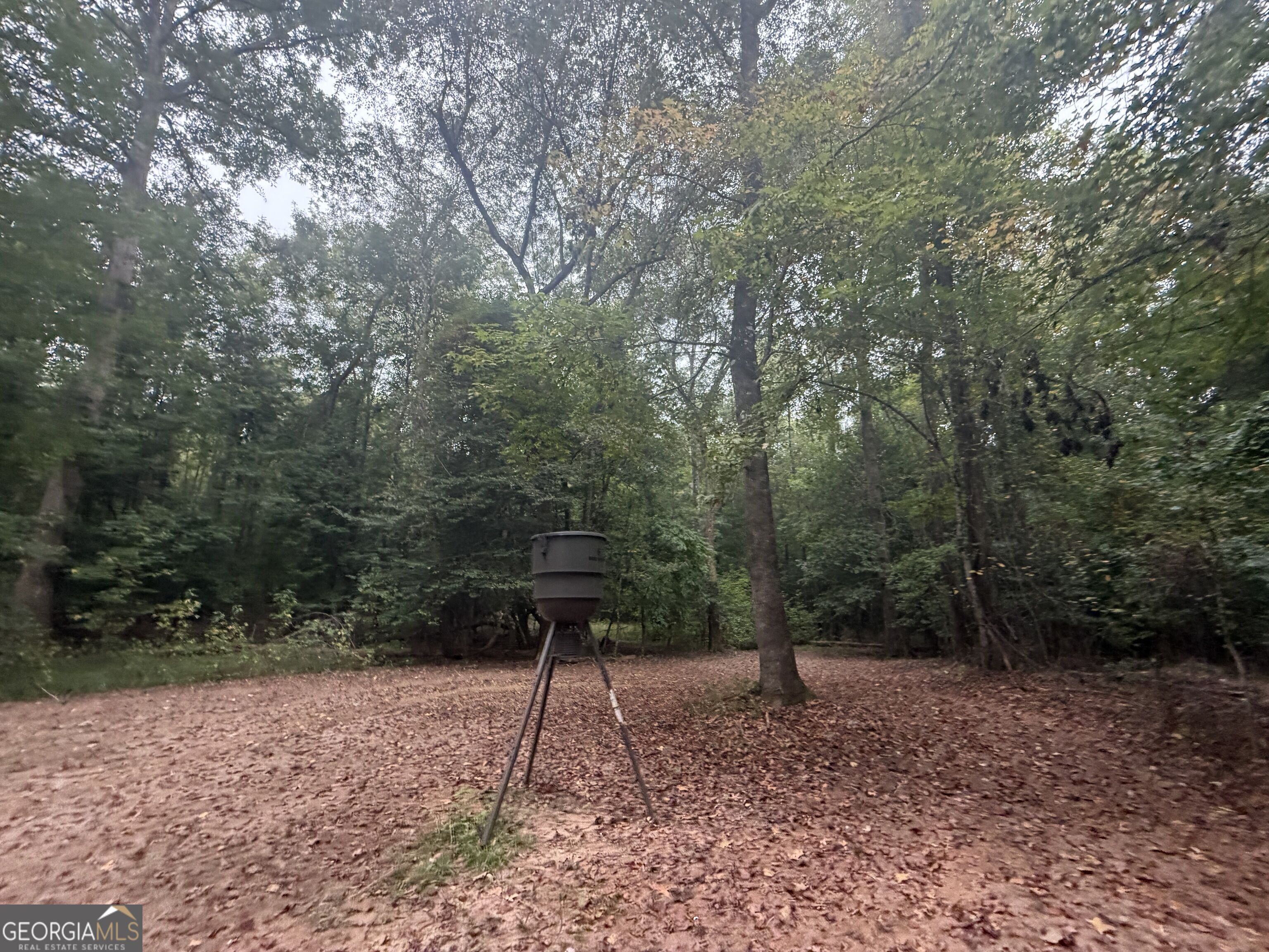 2643 Deepstep Creek Road Property Photo 50