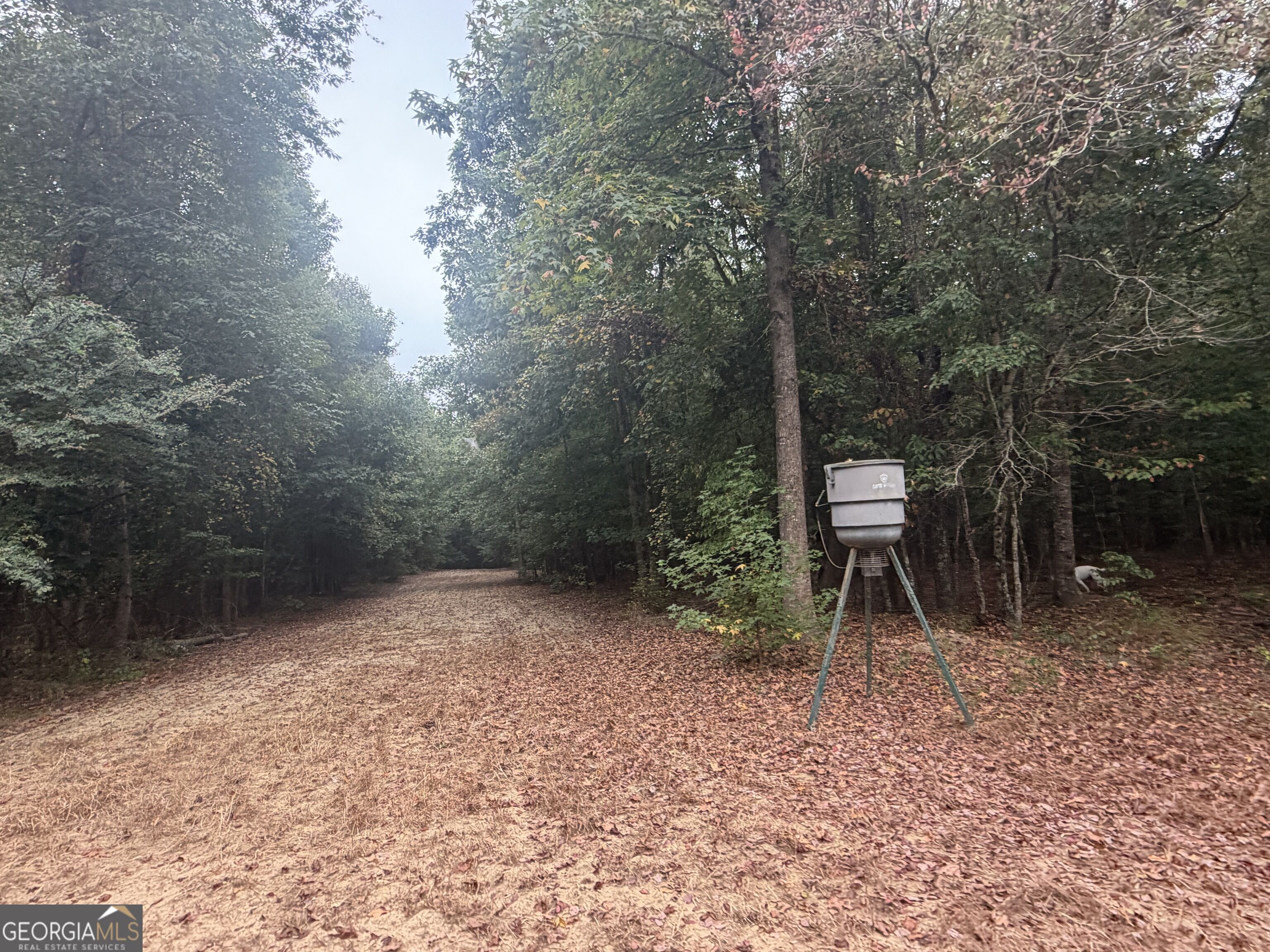 2643 Deepstep Creek Road Property Photo 52