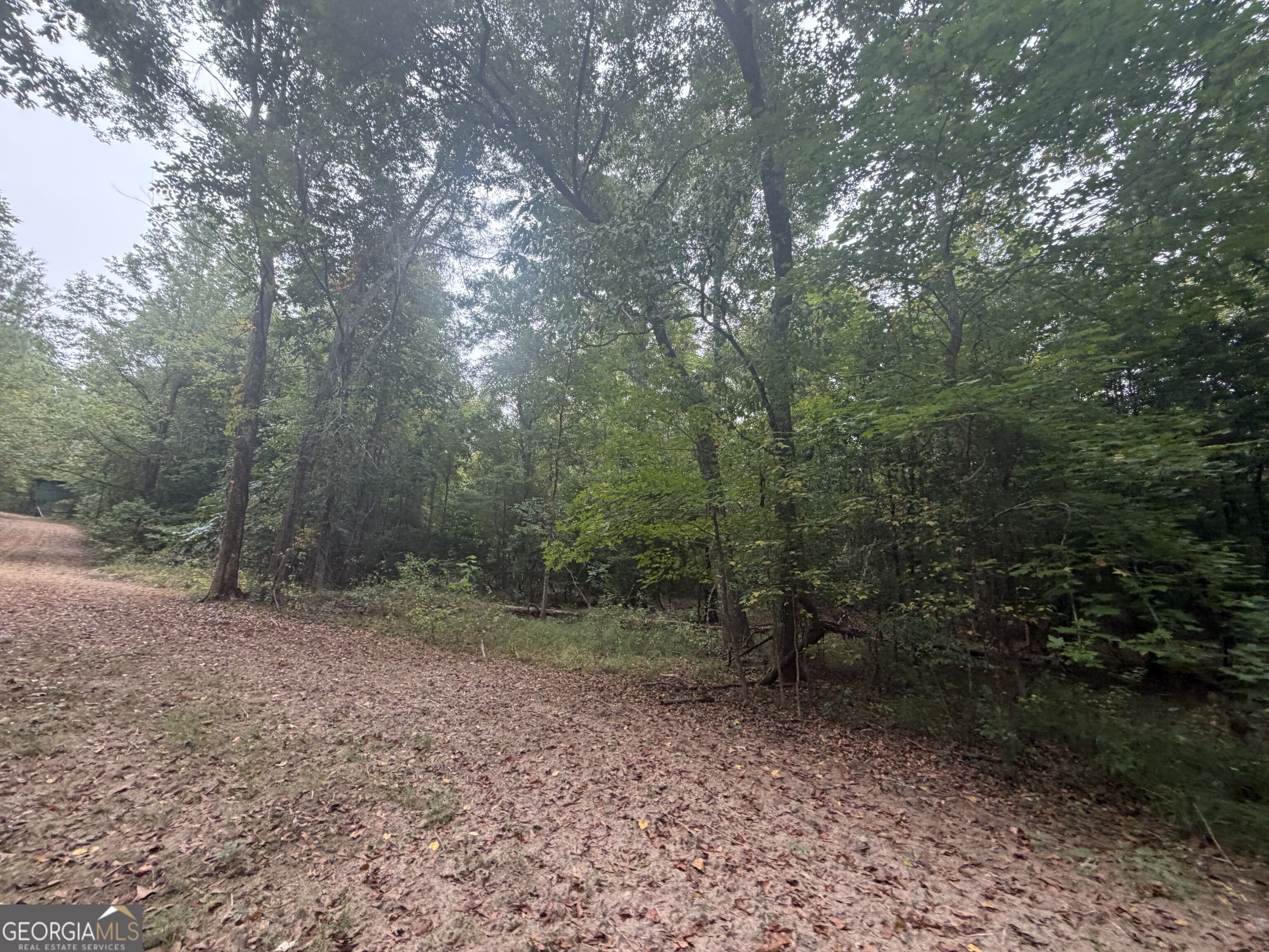 2643 Deepstep Creek Road Property Photo 53
