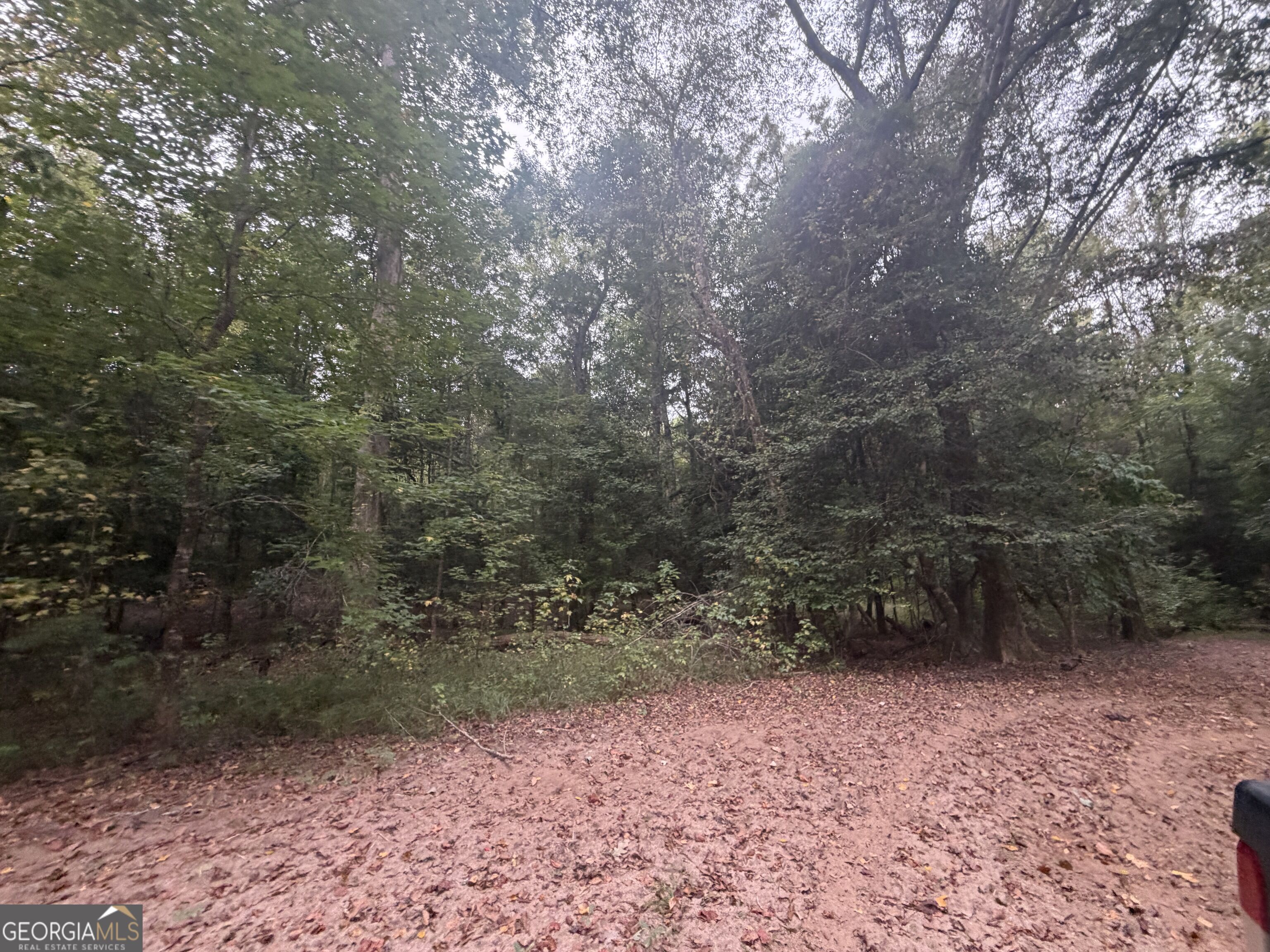2643 Deepstep Creek Road Property Photo 54