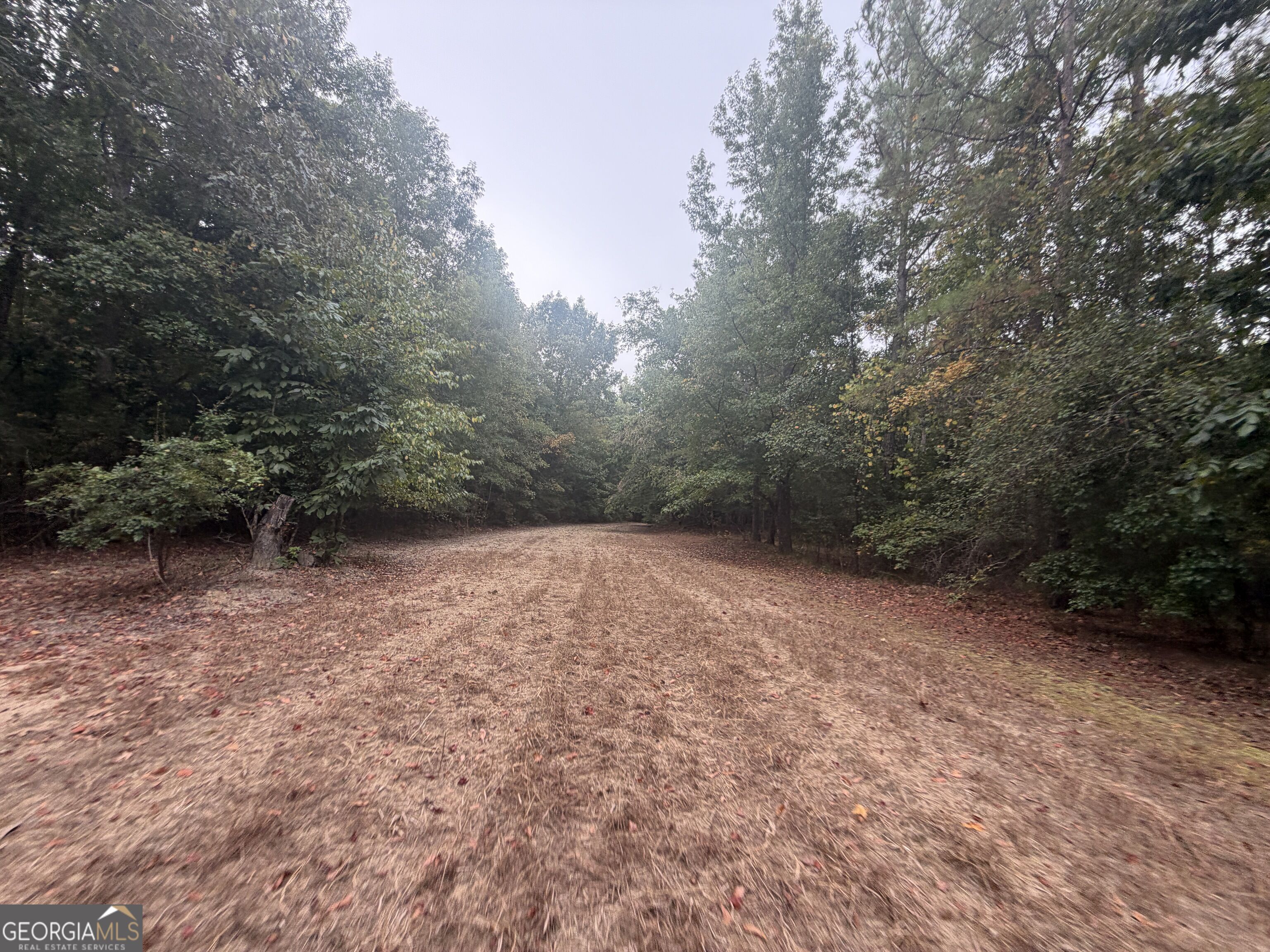 2643 Deepstep Creek Road Property Photo 55