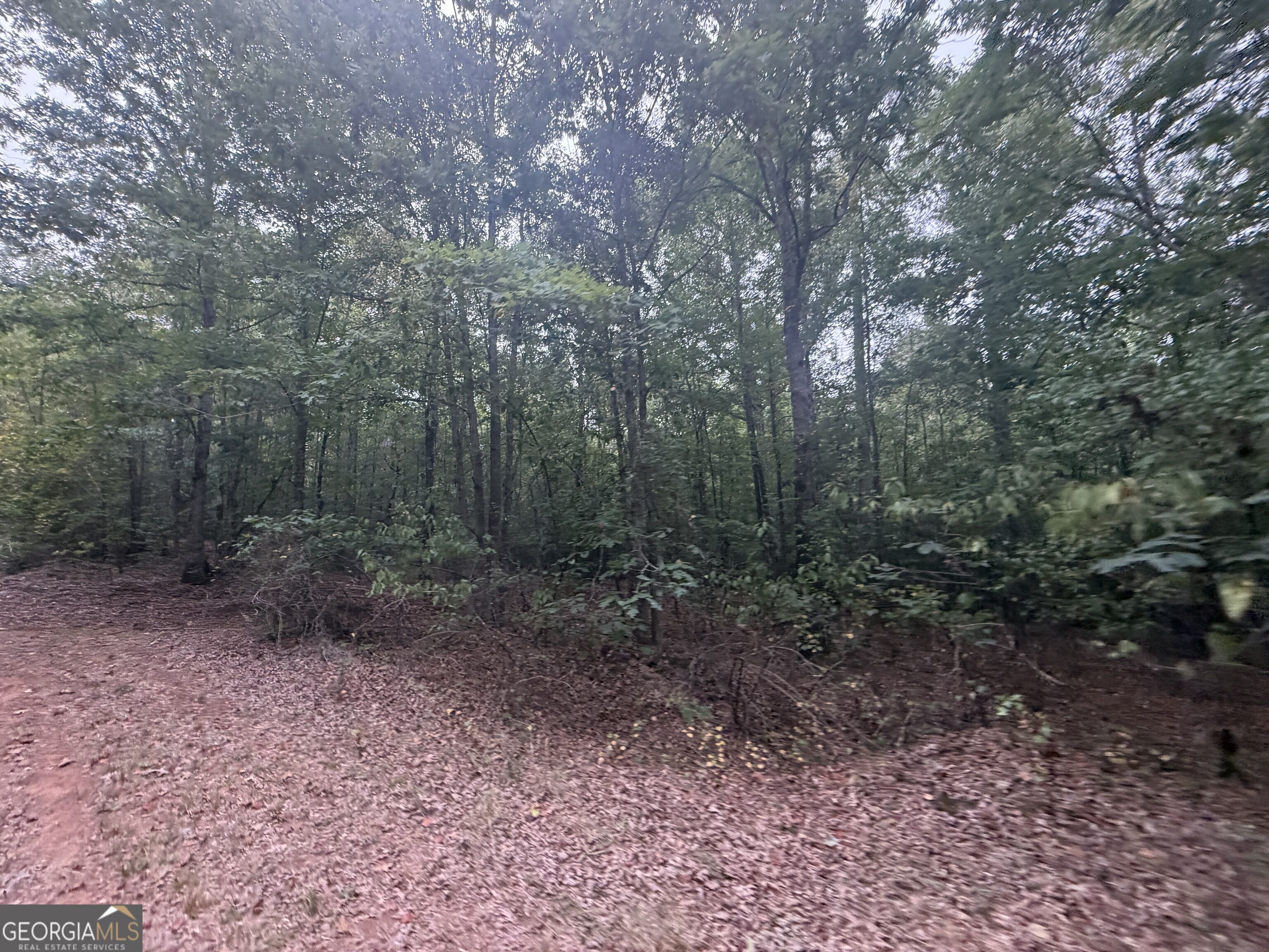 2643 Deepstep Creek Road Property Photo 56