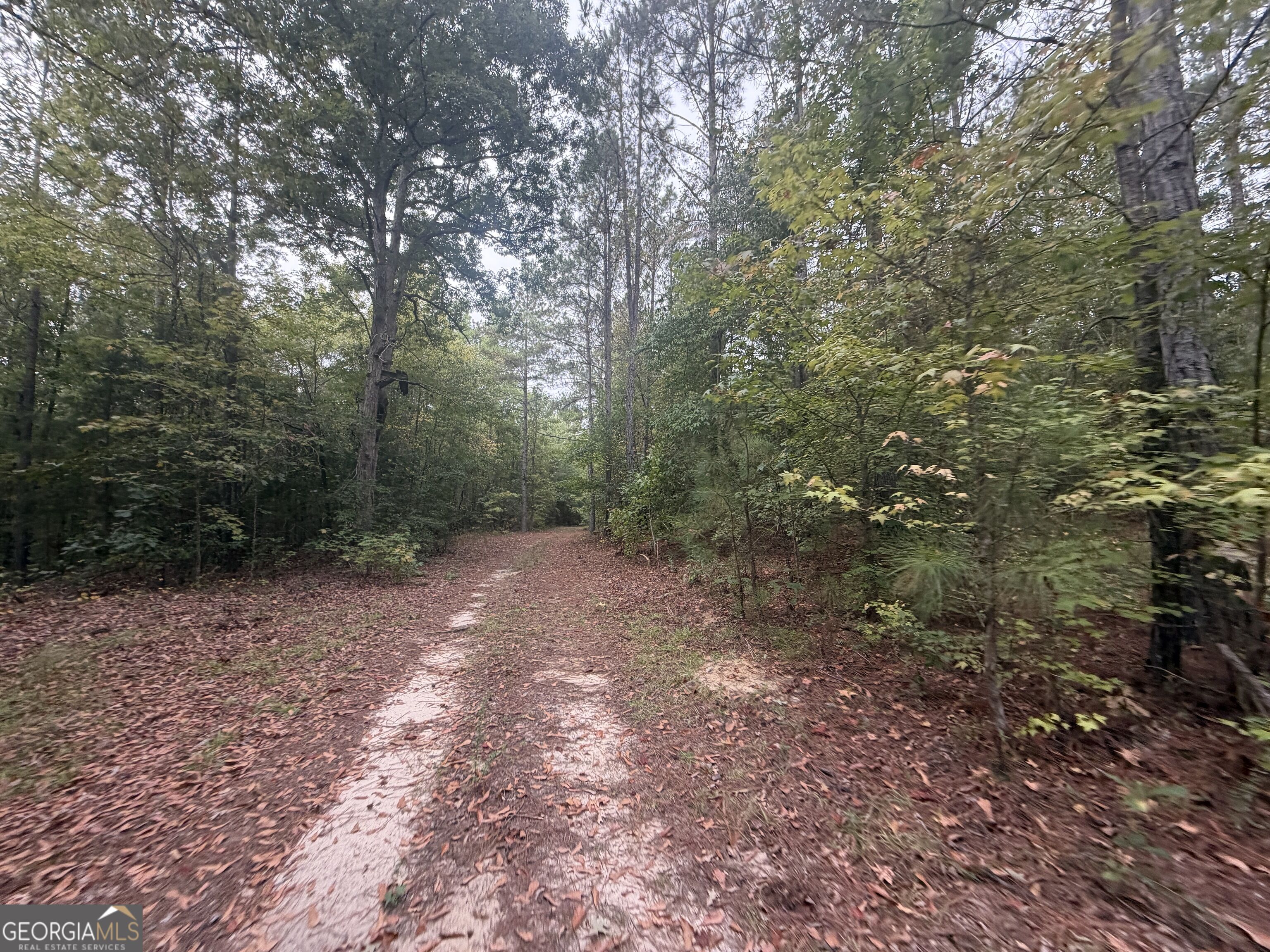 2643 Deepstep Creek Road Property Photo 57
